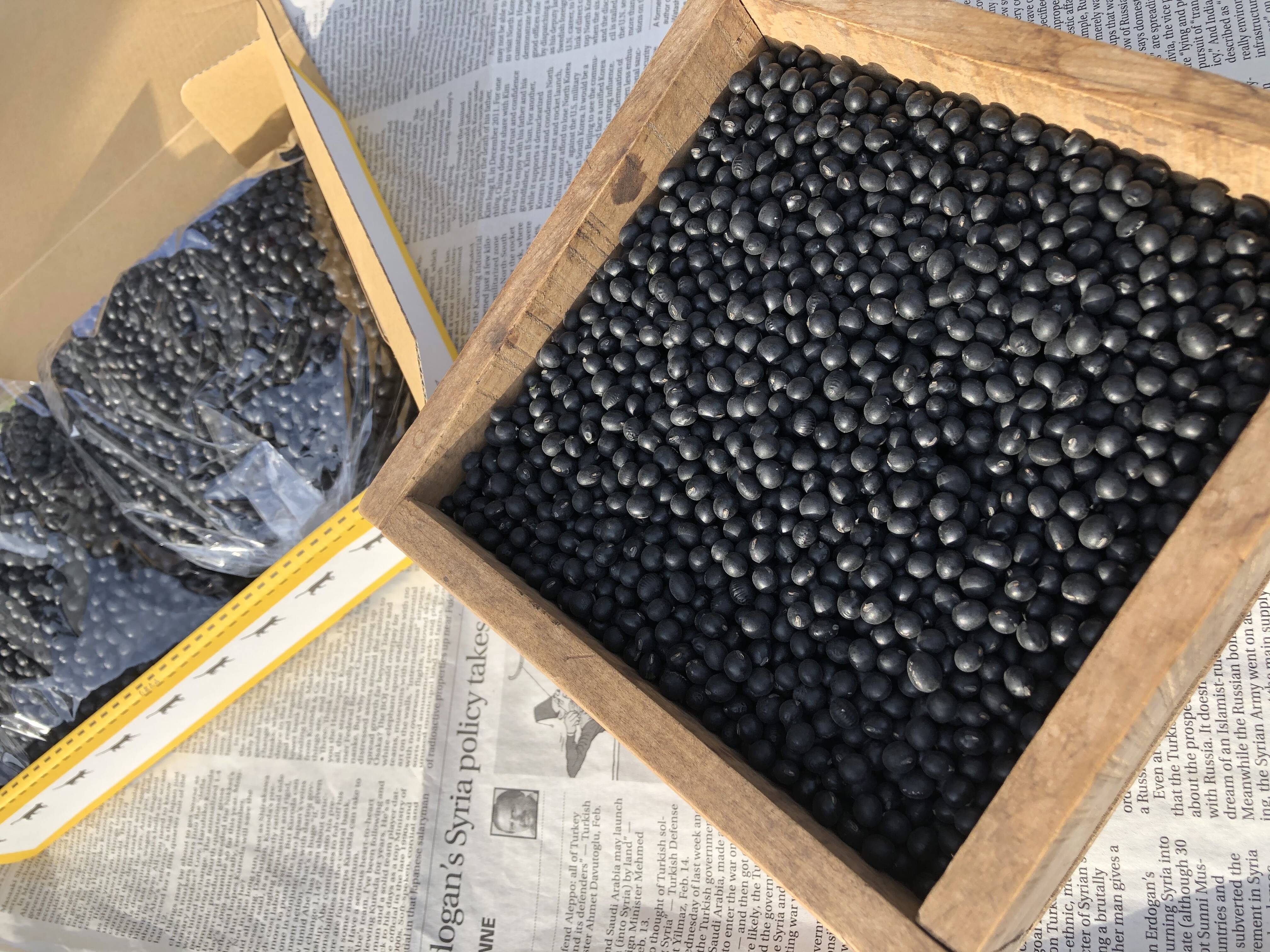 黒千石大豆 1kg × ⑩袋 北海道産 自家用栽培 農家直送 大口顧客専用】黒千石大豆（10キロ）個包装なし：北海道産の米・穀類