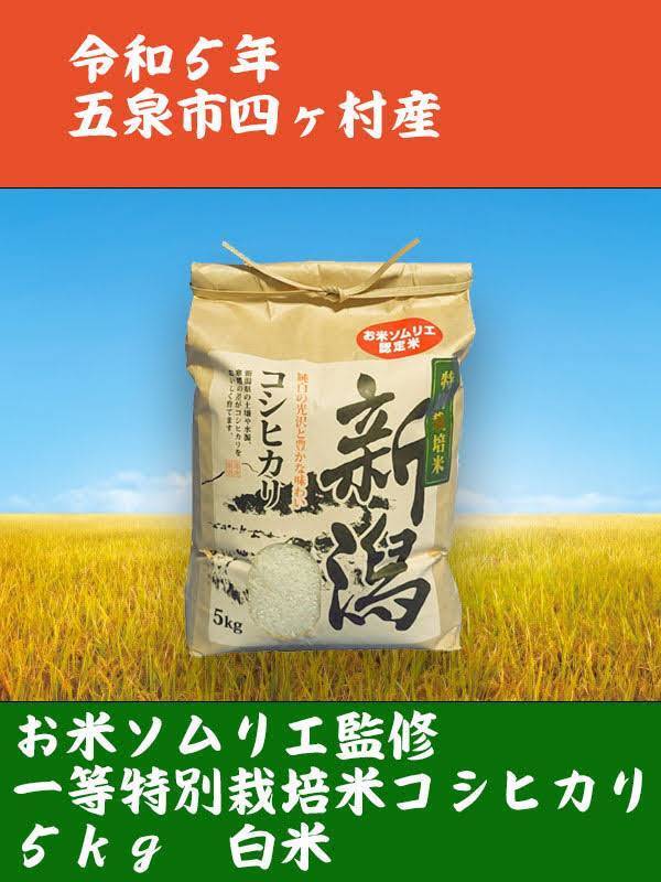 コシヒカリ新米 5kg 農家直送(令和5年)  玄米 白米