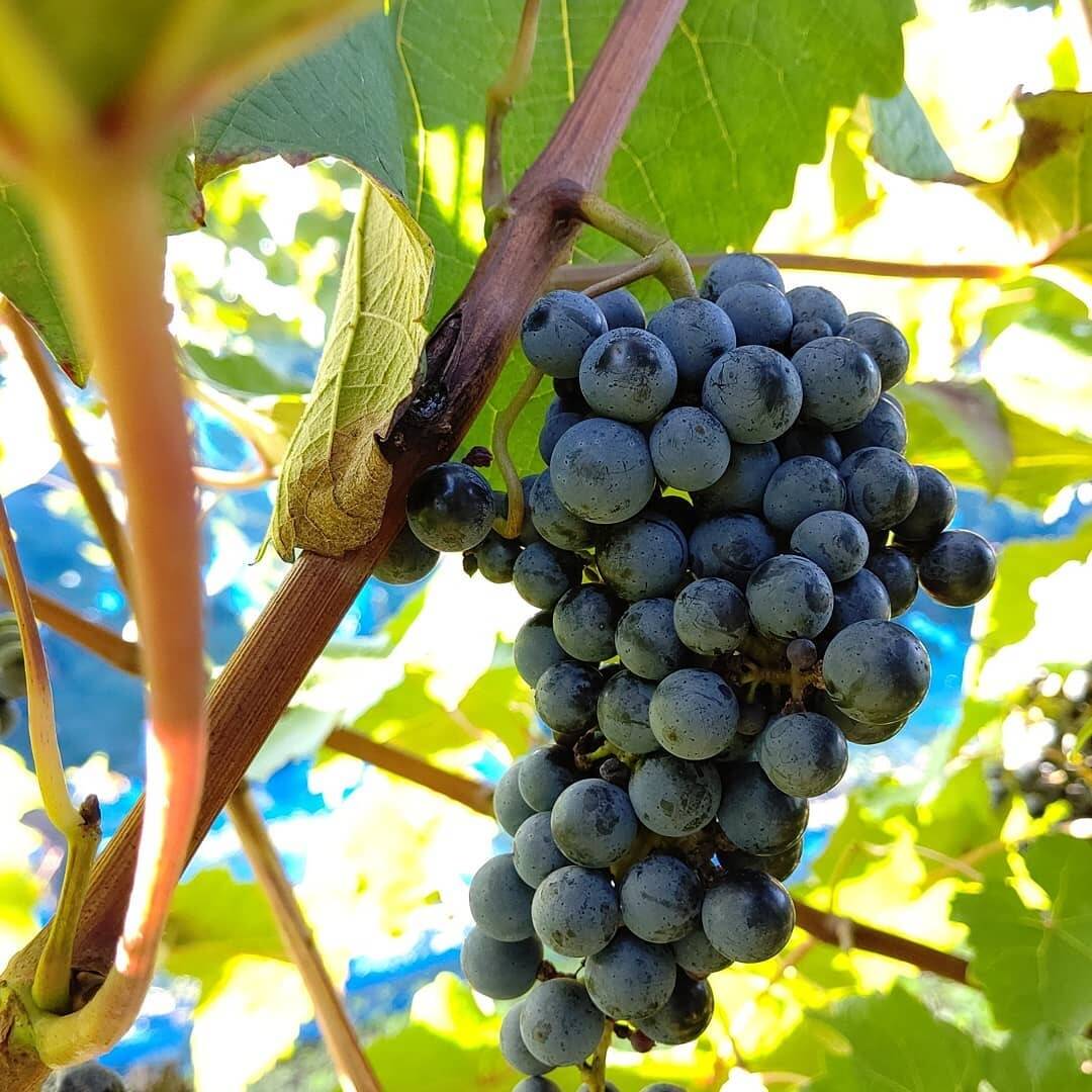 3cbd001be8ad1066906e0afe0ba8cc