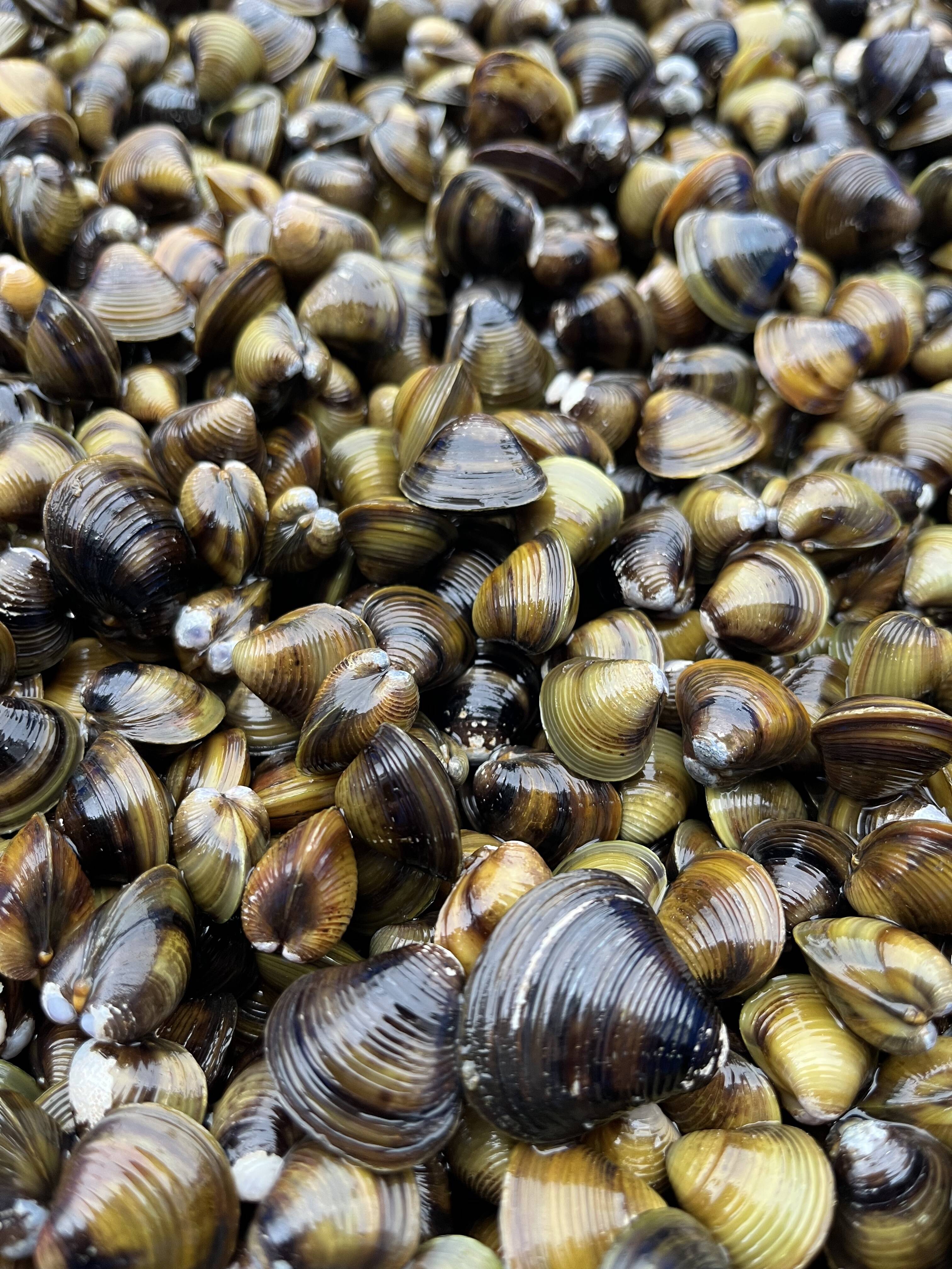 3ce26c067f7726a182d95e29711a1f