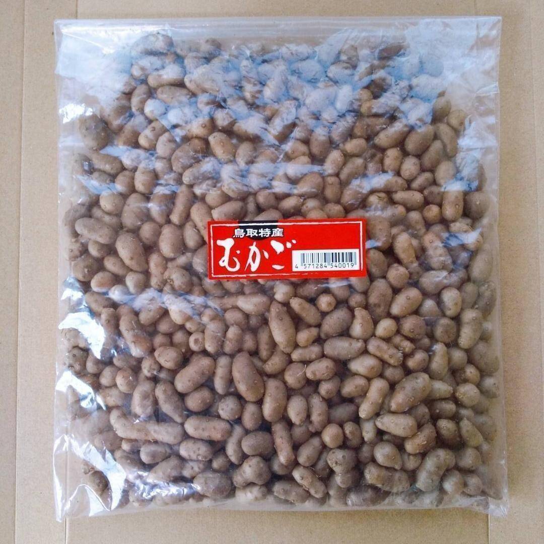 鳥取県産】噛むほど旨い！むかご 500g：鳥取県産の山芋｜食べチョク