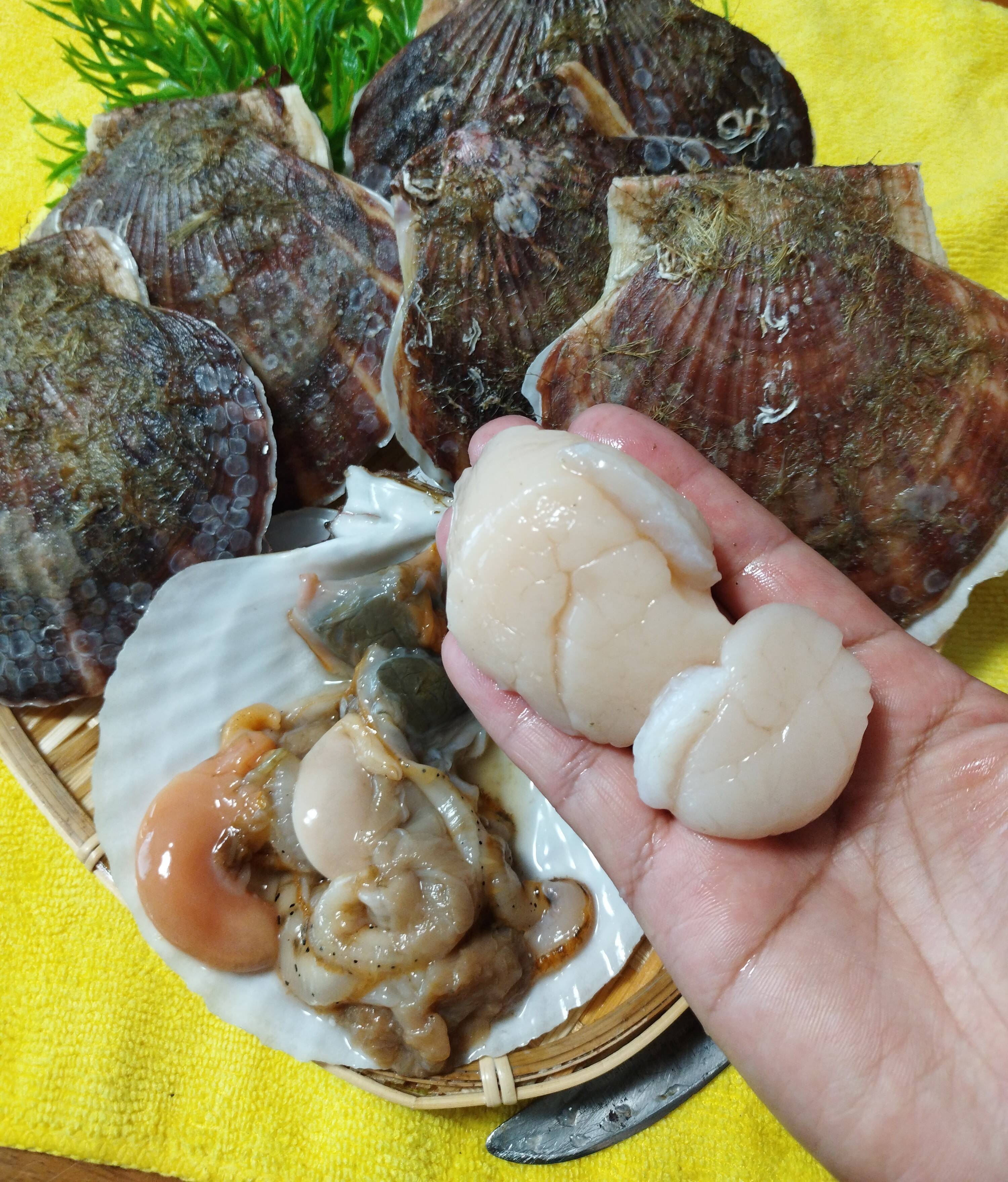 マルキ久保漁業部へのレビュー・商品：北海道｜食べチョク｜産地直送