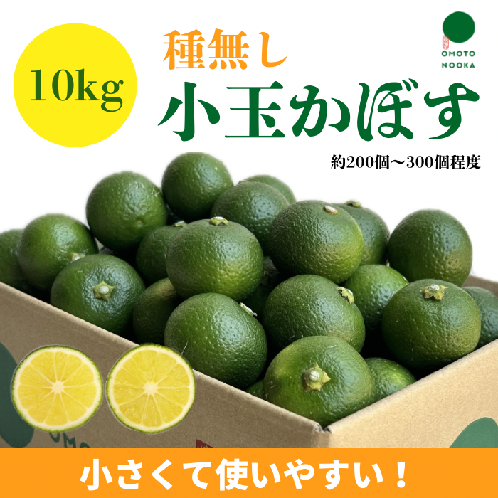 小さくて使いやすい！種無し小玉かぼす10kg（約200～300個）：大分県産のみかん・柑橘類｜食べチョク｜産地直送(産直)お取り寄せ通販 -  農家・漁師から旬の食材を直送