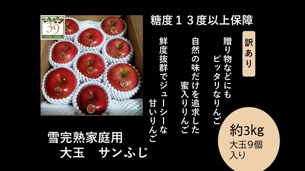 青森りんご 大人気 先行予約「糖度13度保証」家庭用蜜入り希少100