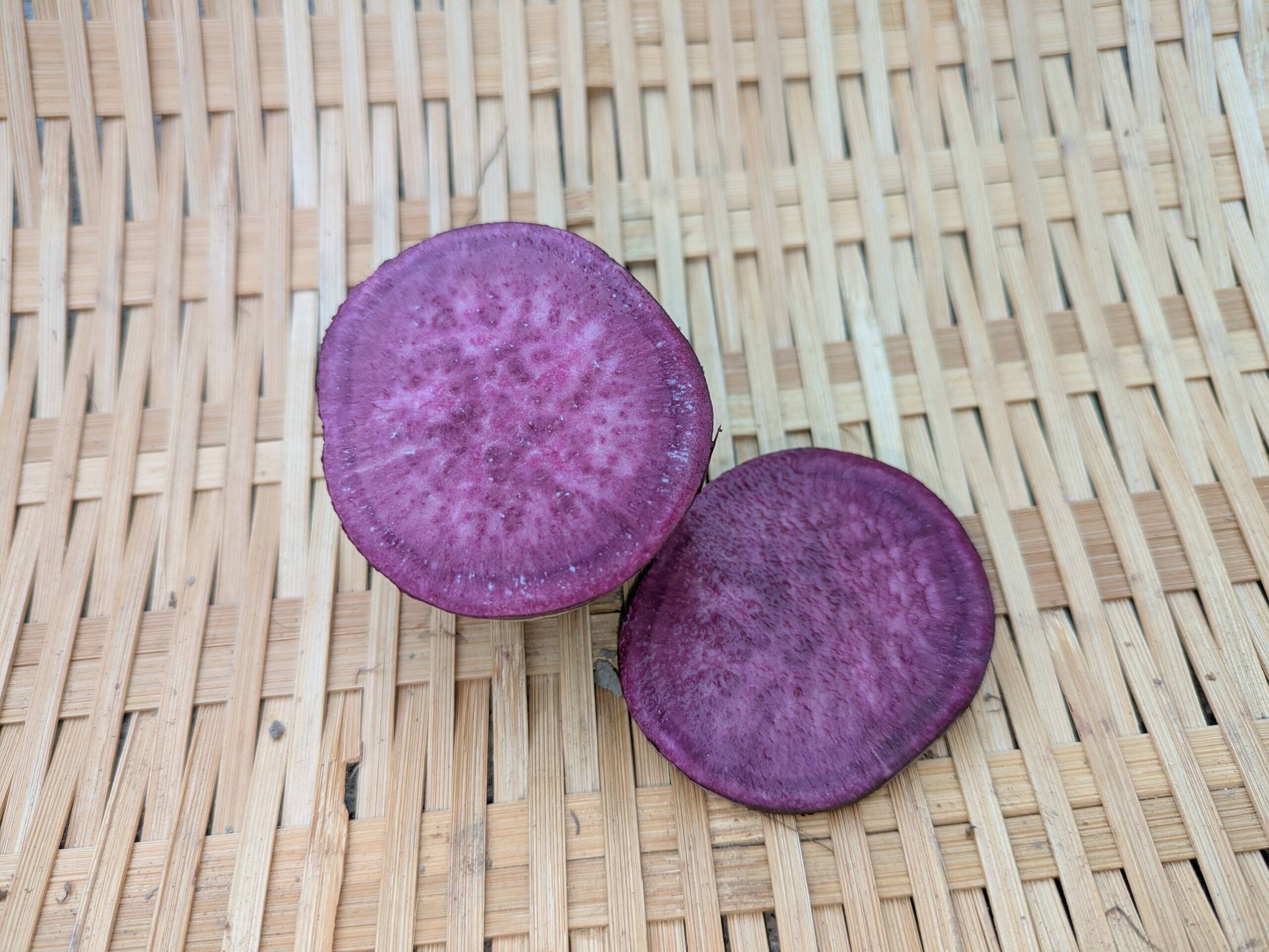 3d4d87a0a23030f3ab0d3d39d08087