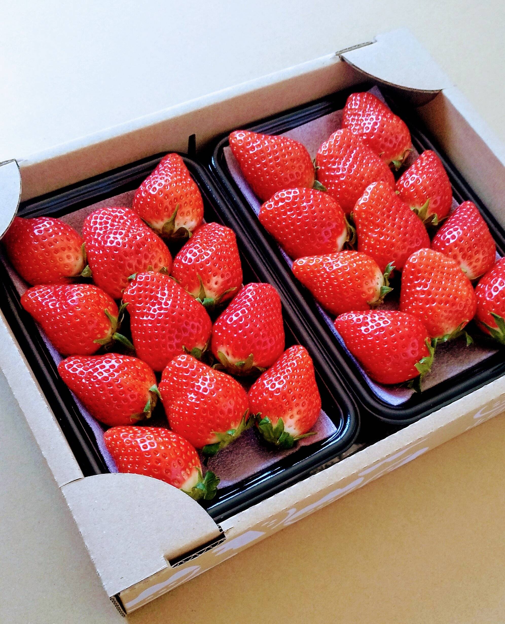 3d5393b0935125f67bf3300bd6231d