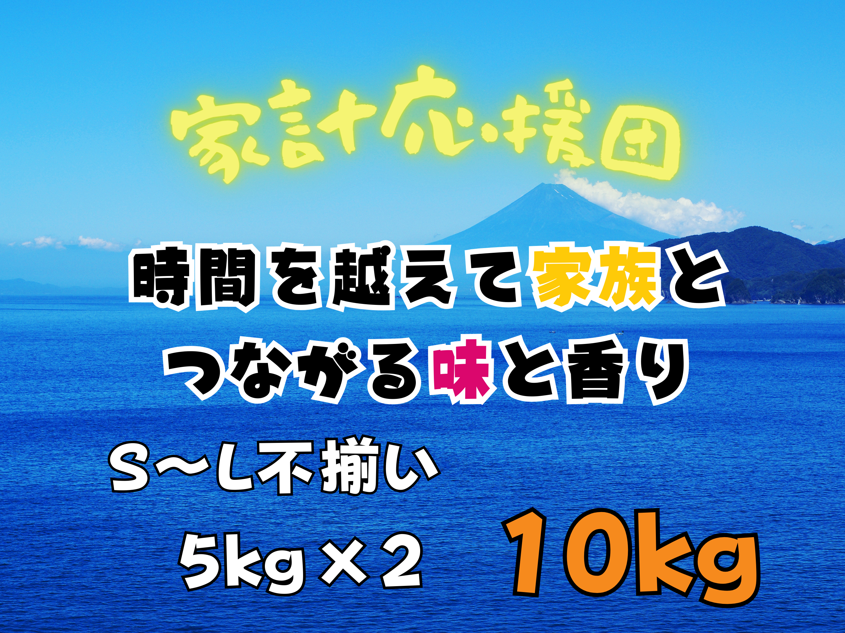 食費削減ネギ！規格外S～2L(10kg)：静岡県産のねぎ｜食べチョク