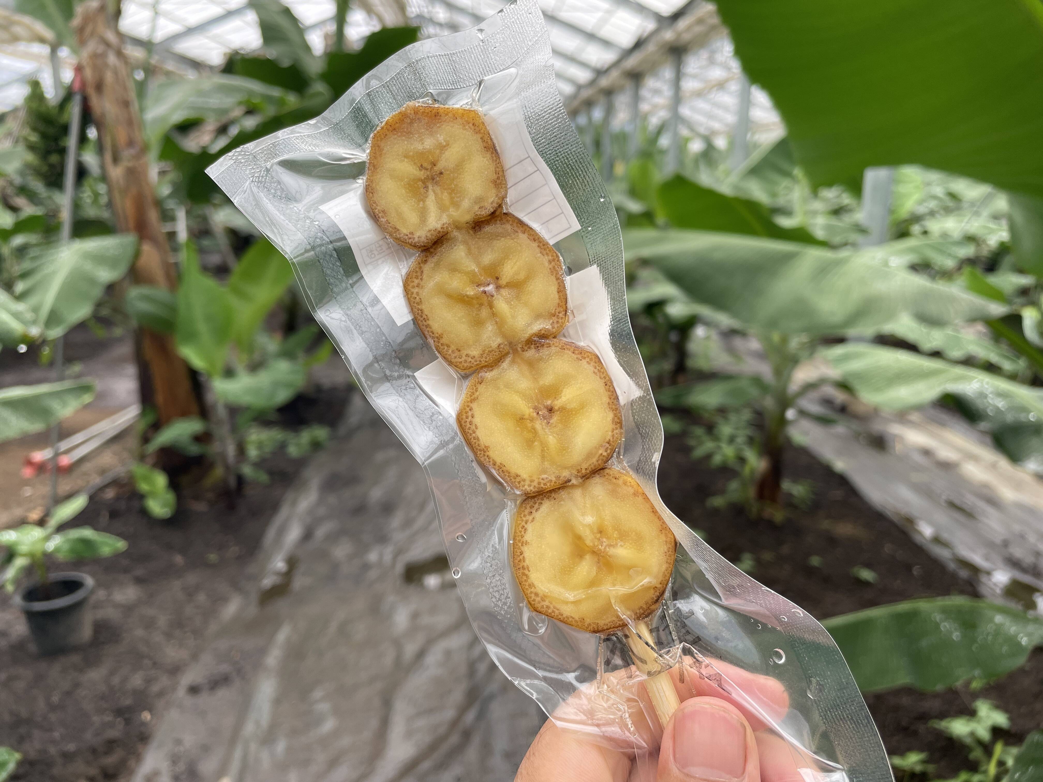 新品》DAISAK / ホウロウ中皿　BANANA 3 バナナ 新品》DAISAK / ホウロウ中皿BANANA 3 バナナ