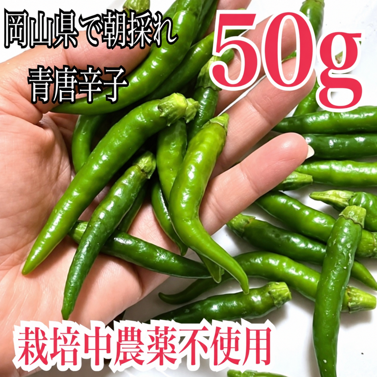 産地直送の岡山県産の青唐辛子を50g：岡山県産のその他唐辛子｜食べ