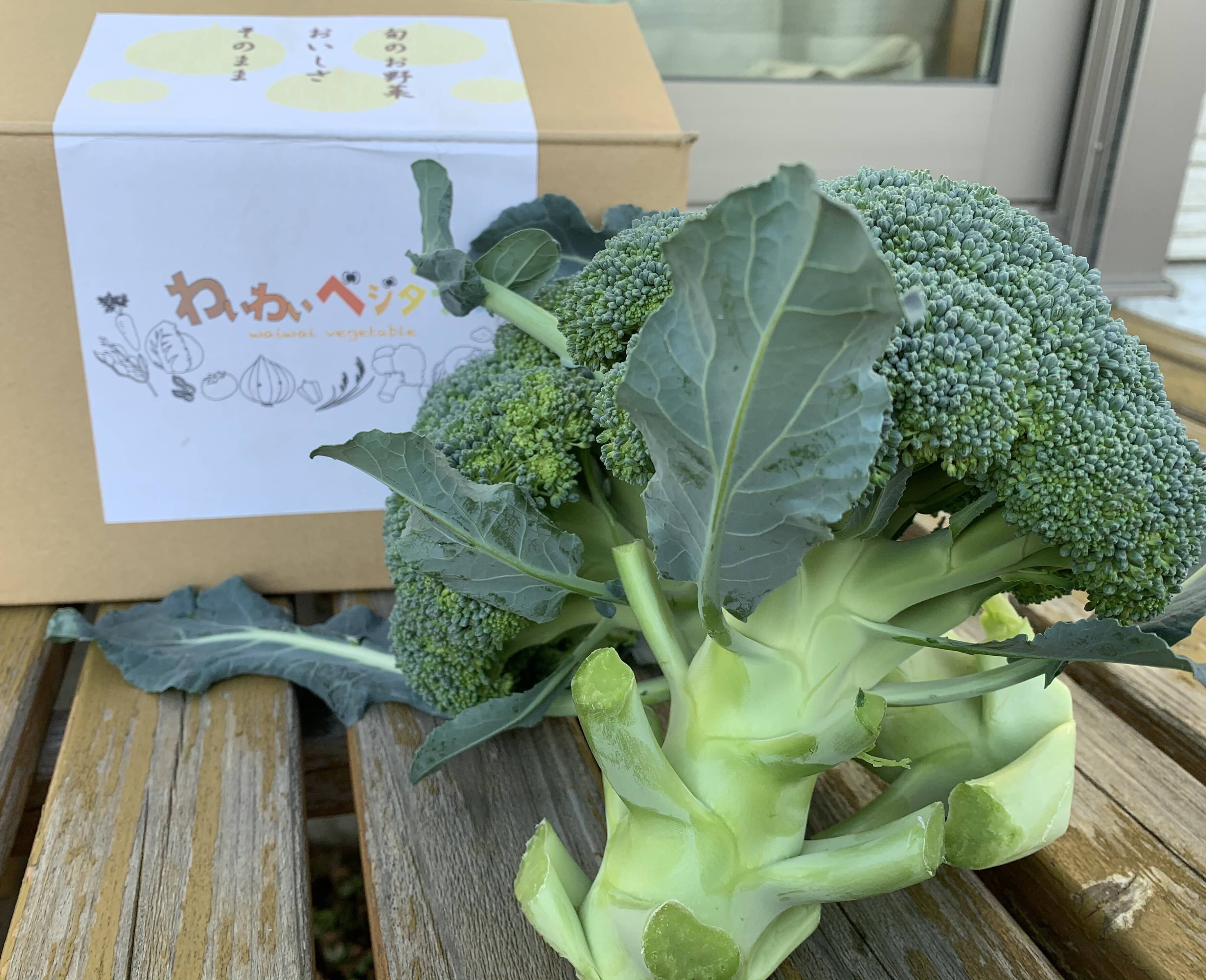 栄養満点最強野菜❗️淡路島産ブロッコリー🥦（6個）：兵庫県産の