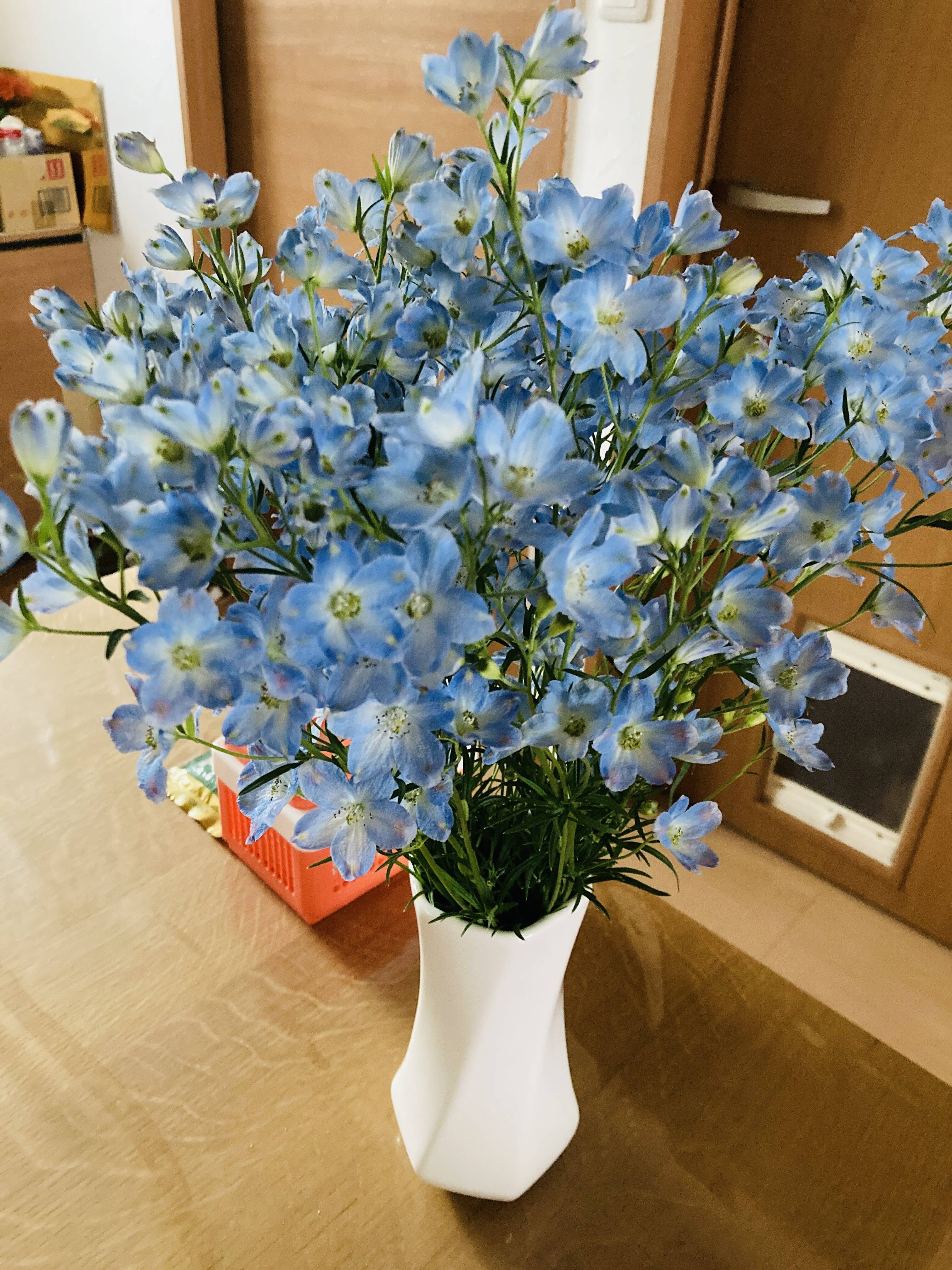 本日締切時 明日発送 数量限定 デルフィニウム 薄水色30本 販売 食べチョク 産地直送 産直 お取り寄せ通販 農家 漁師から旬の食材を直送