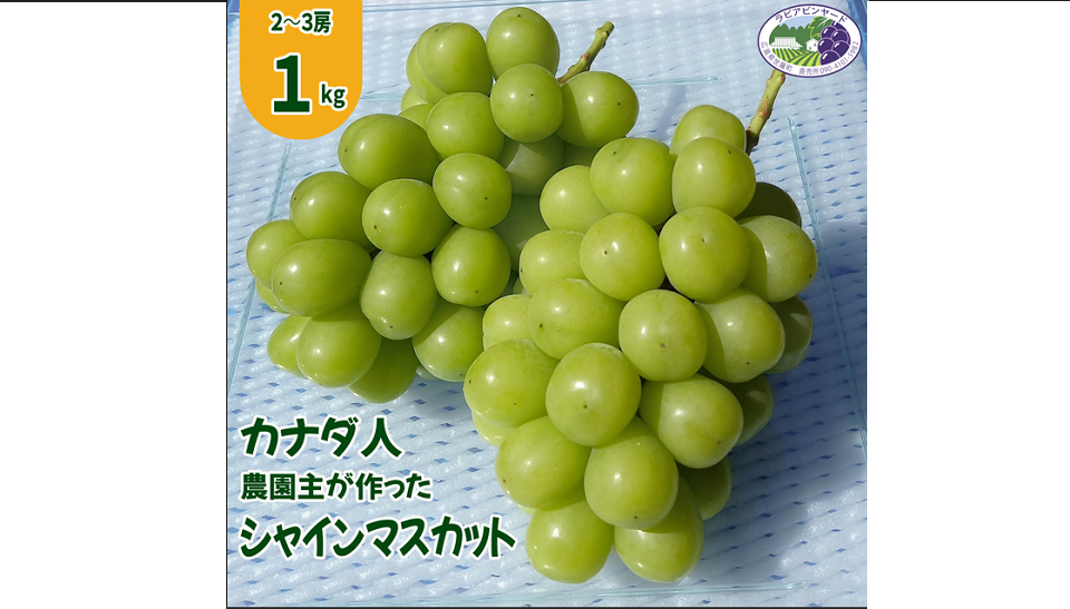 マスカット マスカット 1本 お酢ドリンク 希釈タイプ 黒酢 健康酢 飲む美容