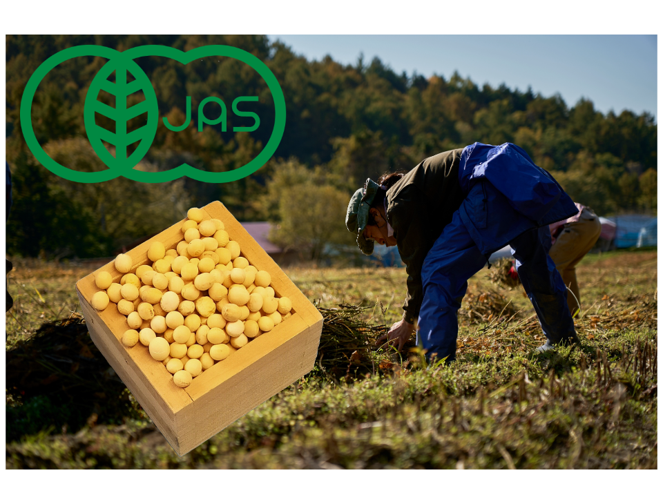 新豆】ユキホマレ大豆 令和3年産 農薬・肥料不使用 北海道産 (30
