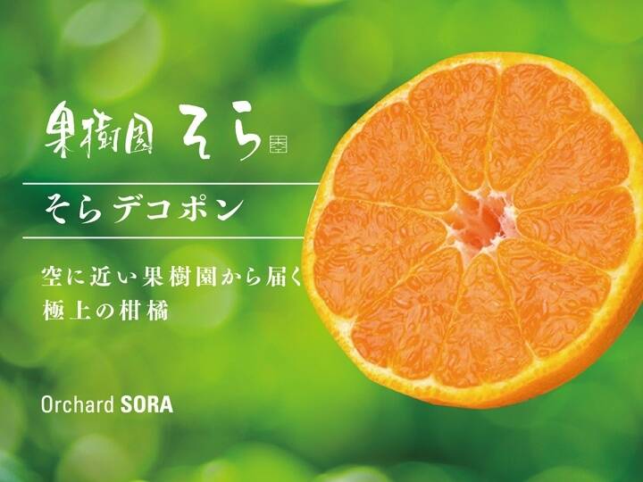 そらデコ不知火【天空の果実】愛媛産 不知火 訳あり 4kg：愛媛県産のみかん・柑橘類｜食べチョク｜産地直送(産直)お取り寄せ通販 -  農家・漁師から旬の食材を直送