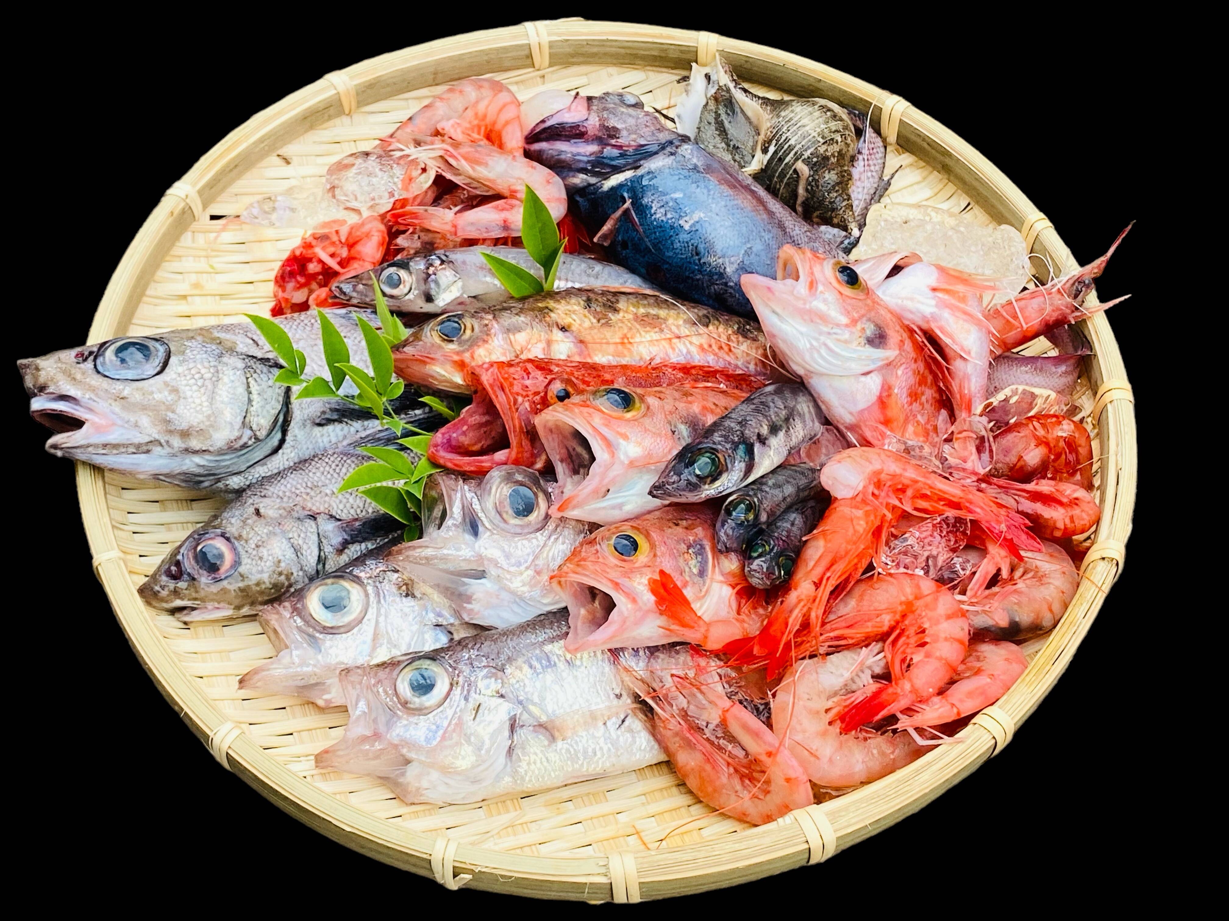 魚　の、何かはわかりませんが、、　二つセット 5月先行販売【ガチャ！】何が入っているかわからないおかず1セット