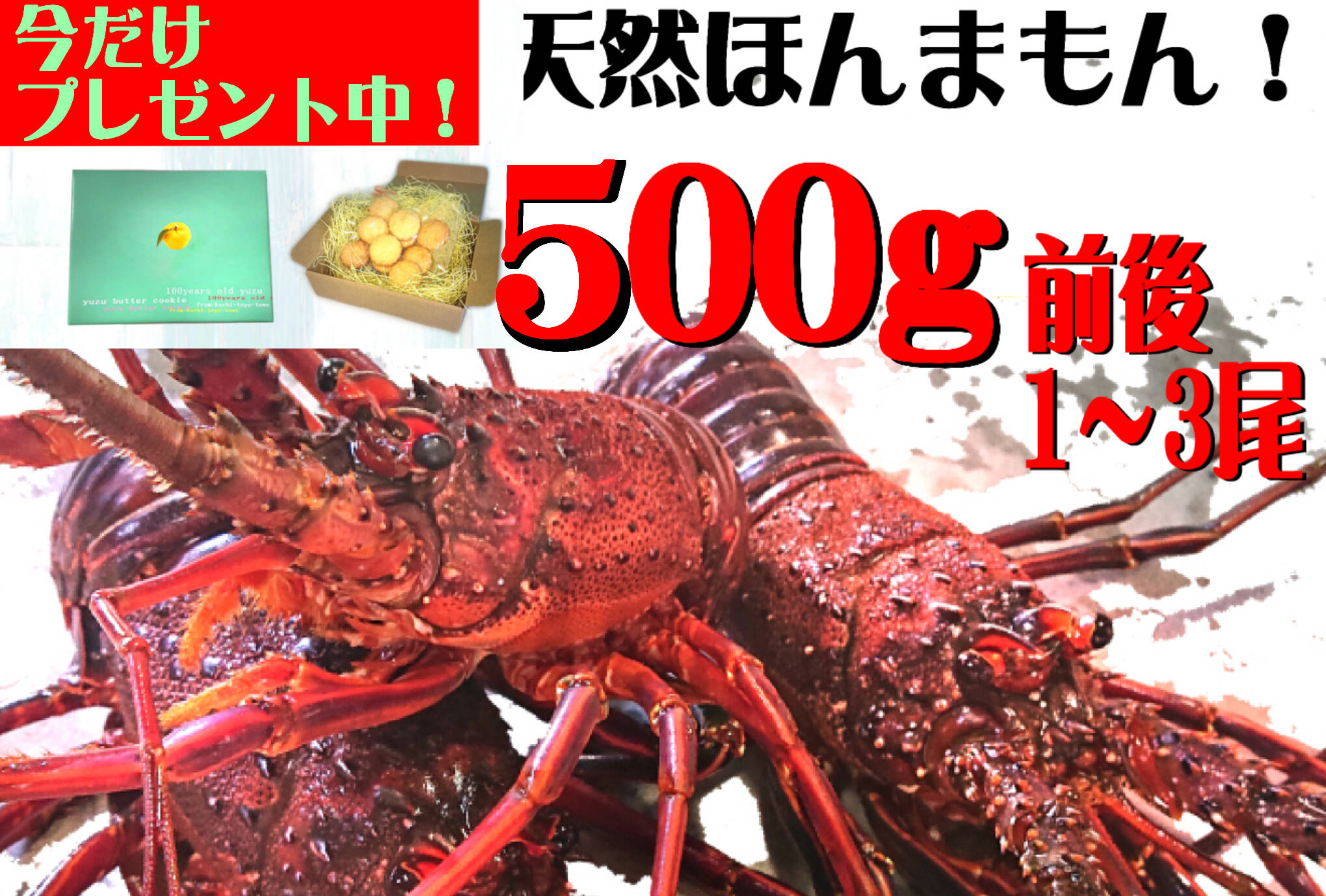 売り切り 値下げ 養老特注 クラフトウエッジ50.56.60 DGツアーイシュー 恐