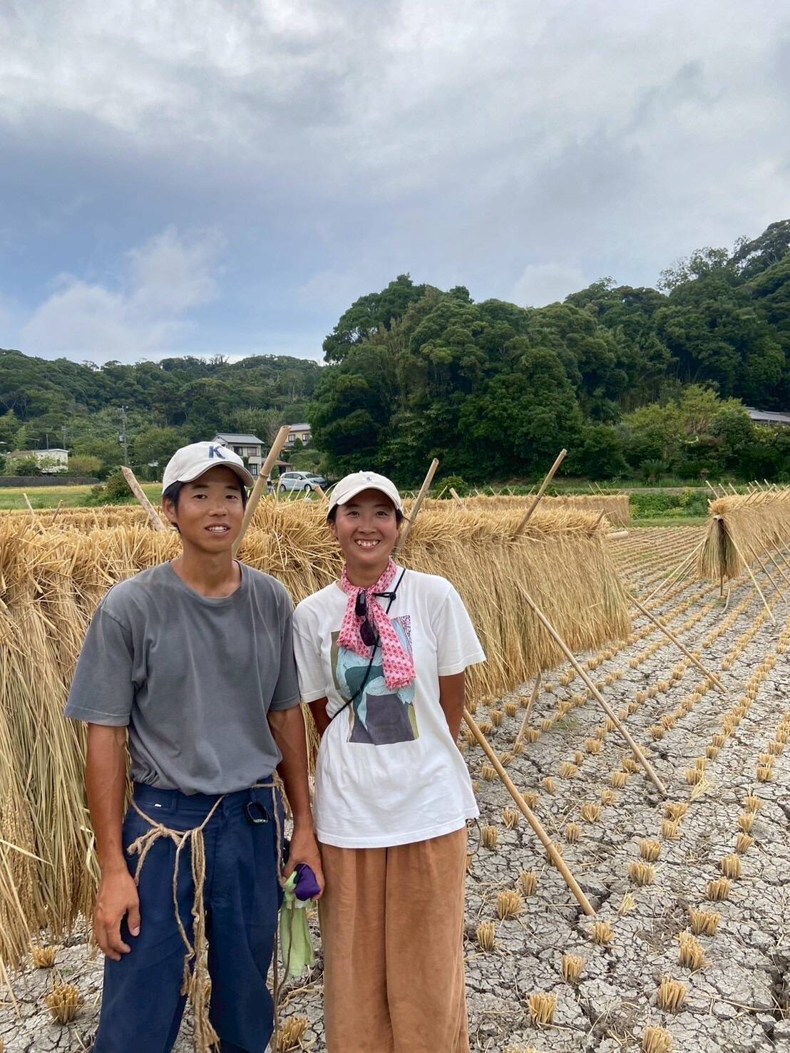 天日干しひとめぼれ 自然栽培・天日干し！ひとめぼれ 【玄米5㎏】 農薬・肥料不使用：千葉