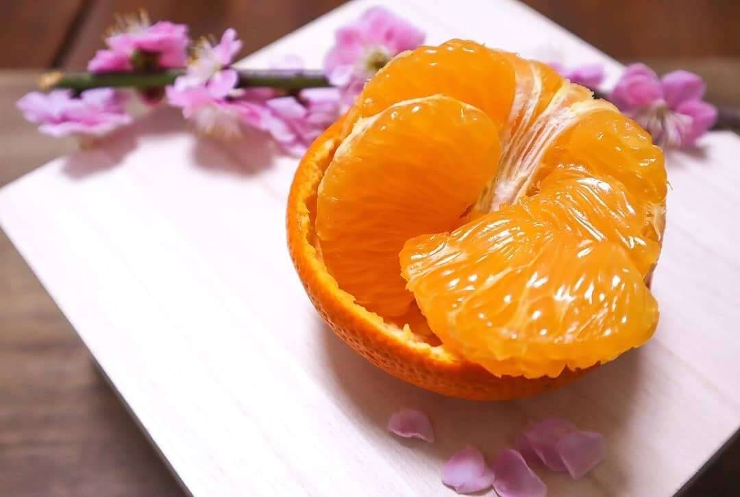 10kg】濃厚！八朔だけどあま〜い！おひさま色の紅八朔【ご家庭用