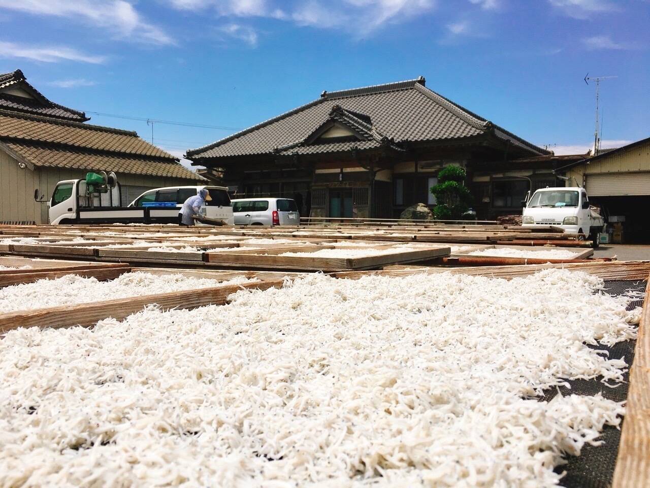 食べ比べ】天日干ししらすと釜揚げしらすのセット：千葉県産の加工品｜食べチョク｜産地直送(産直)お取り寄せ通販 - 農家・漁師から旬の食材を直送