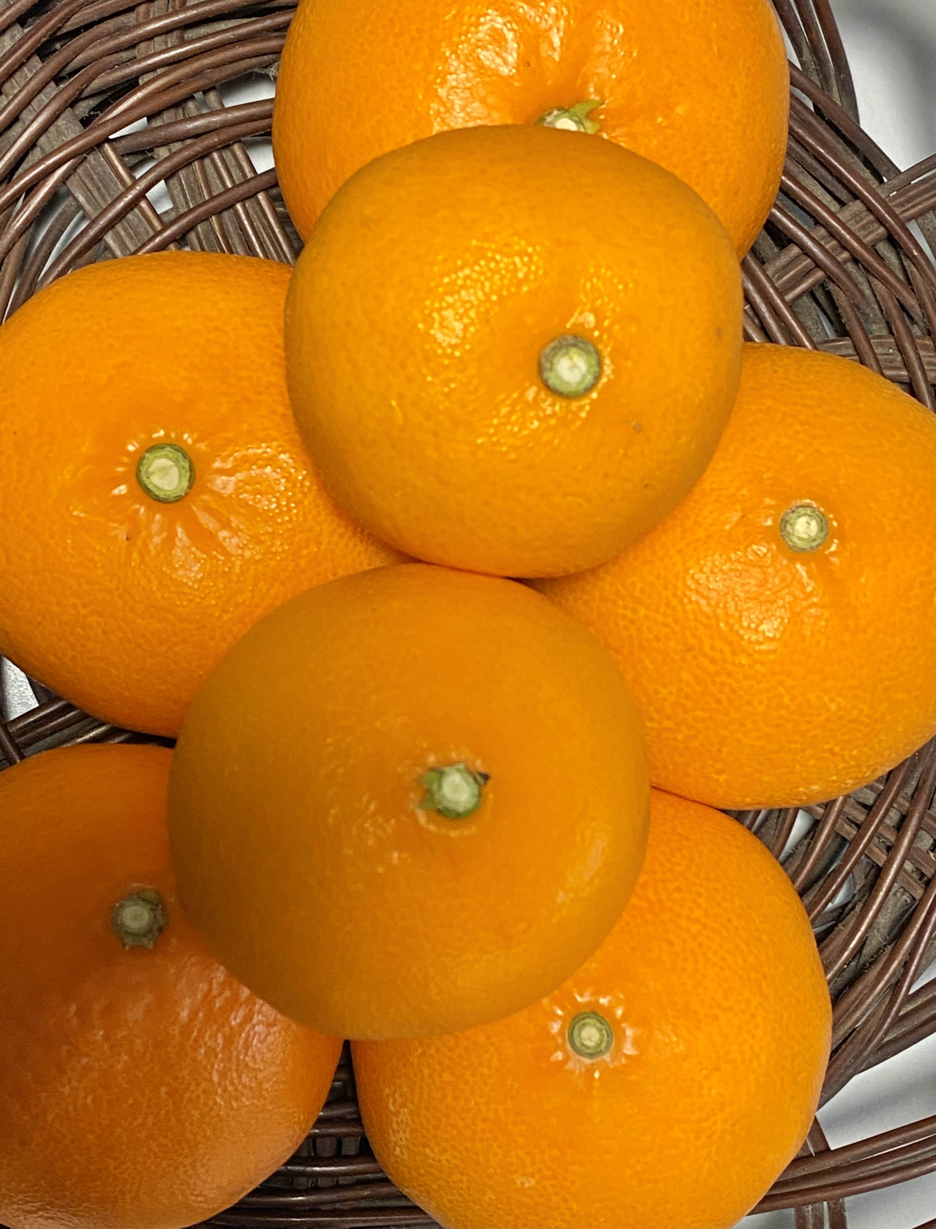 食べ比べ【数量限定☆希少の高級柑橘🎁】せとか1㎏&(麗紅)れいこう1