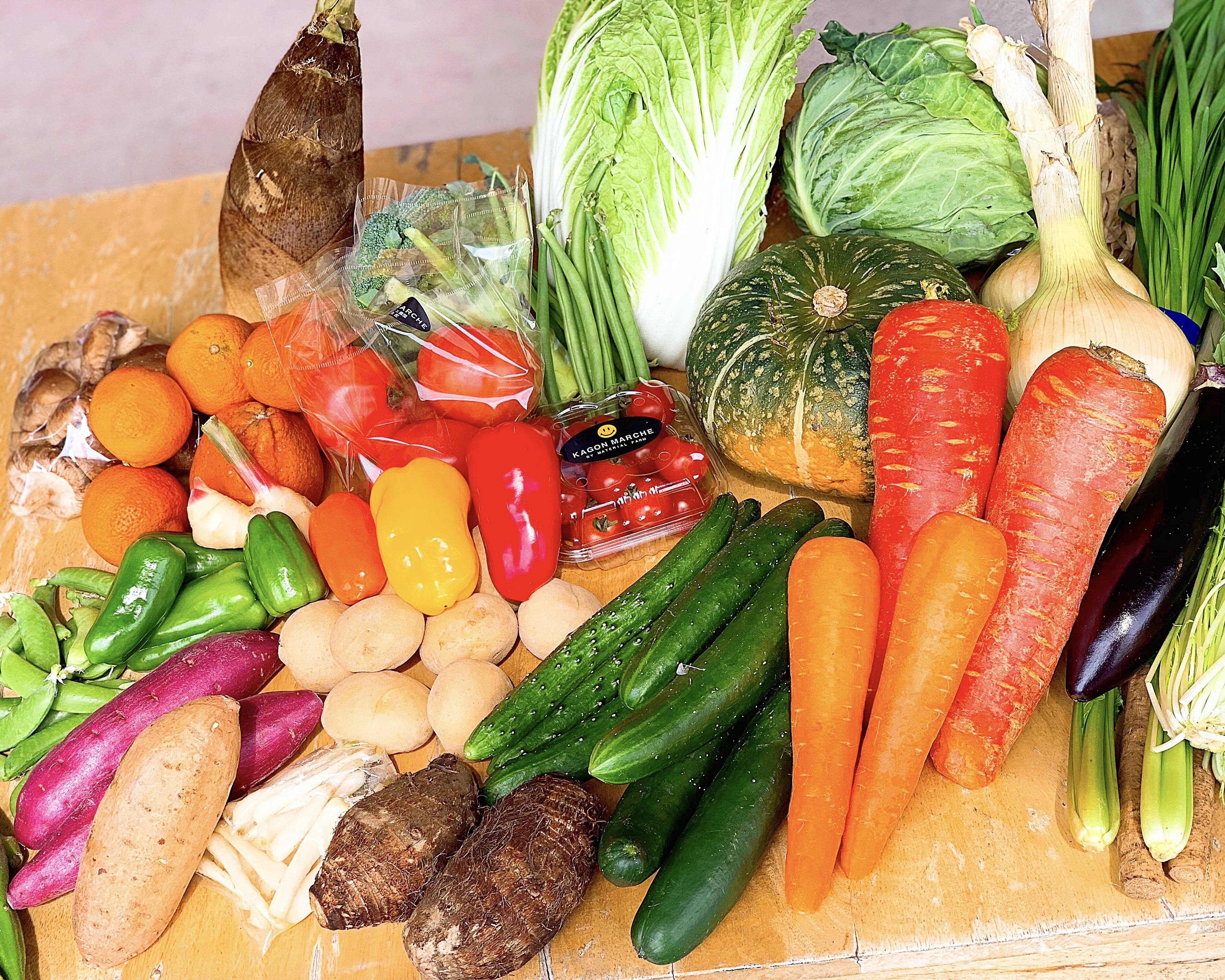 自家農園産季節の野菜詰め合わせセット：鹿児島県産の野菜｜食べチョク｜産地直送(産直)お取り寄せ通販 - 農家・漁師から旬の食材を直送