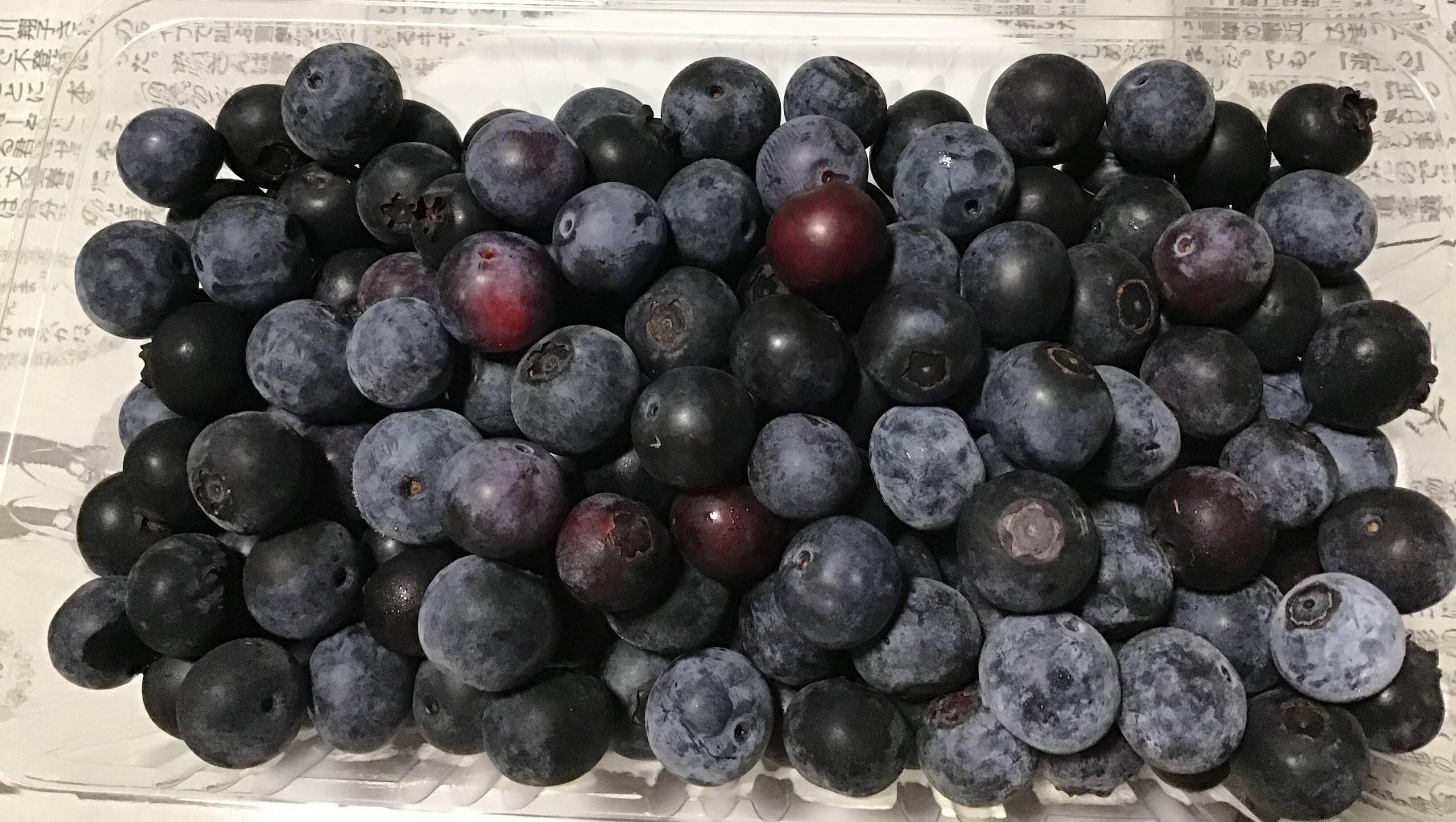 島根県産 冷凍 ブルーベリー 栽培期間中、農薬・化学肥料不使用 農薬不