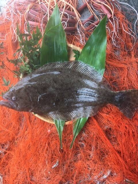 天然ヒラメ お手軽サイズ（小サイズ 700g×2匹)：香川県産の