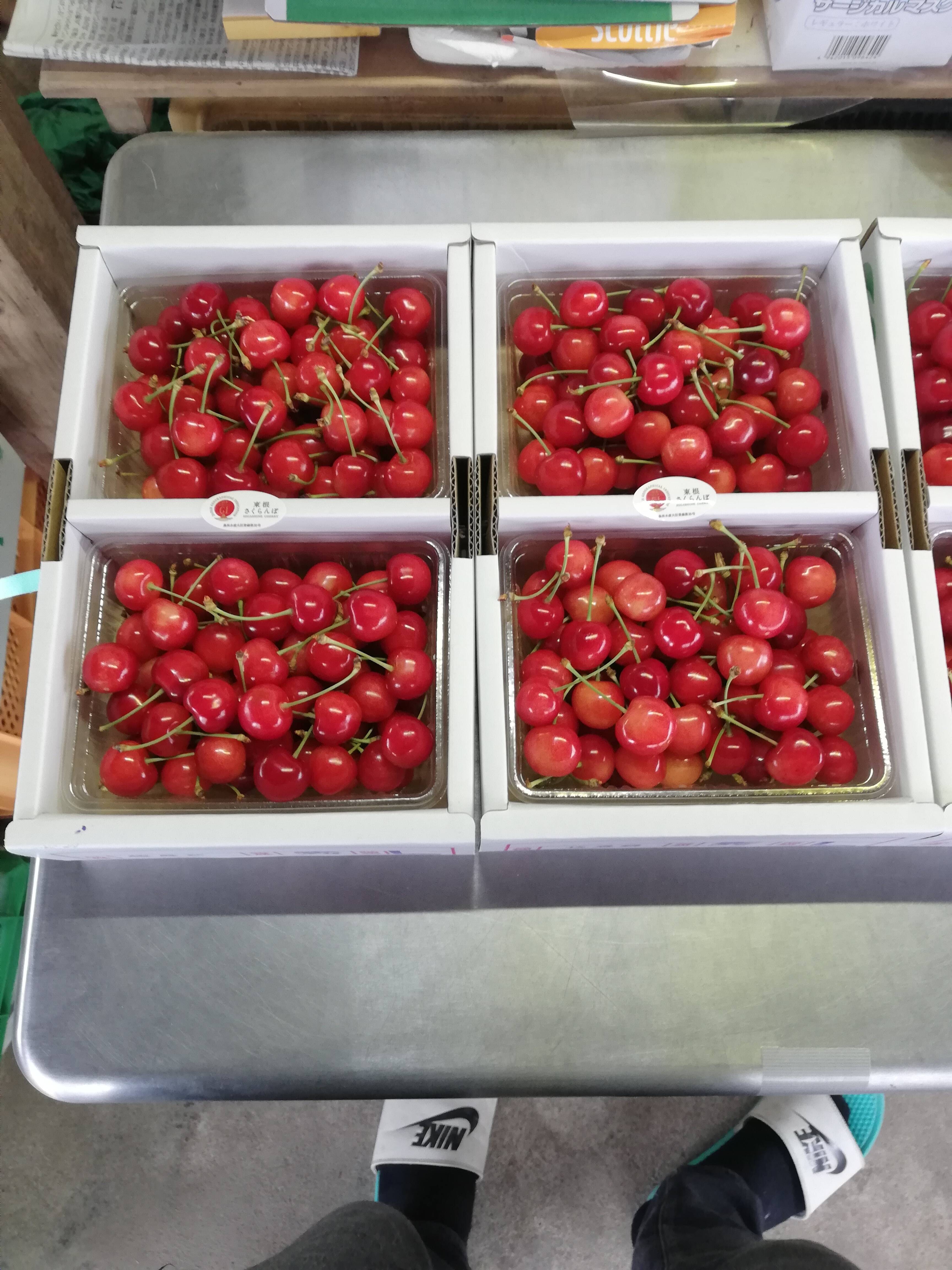 予約販売🍒〉〈GI認定〉佐藤錦L玉 一キロパックバラ 「秀」「特秀