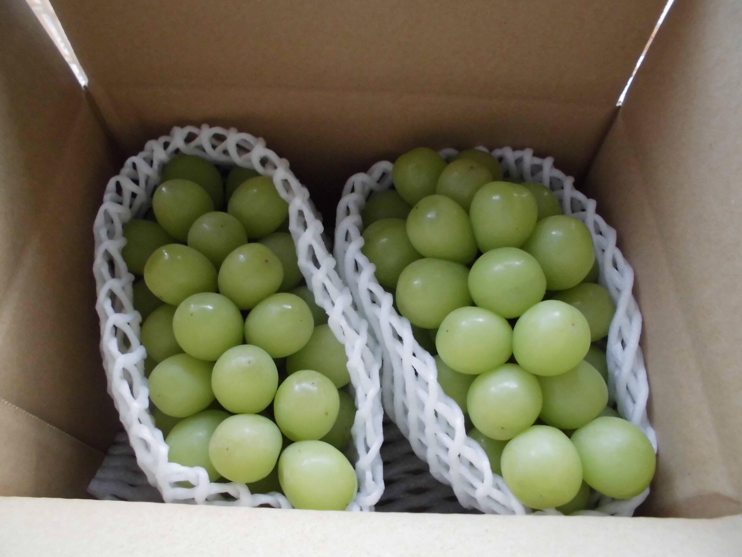 【北信州小布施のシャインマスカット】予約受付中 2026年発送】シャインマスカット 約3kg 4～7房 | 長野県小布施町 |