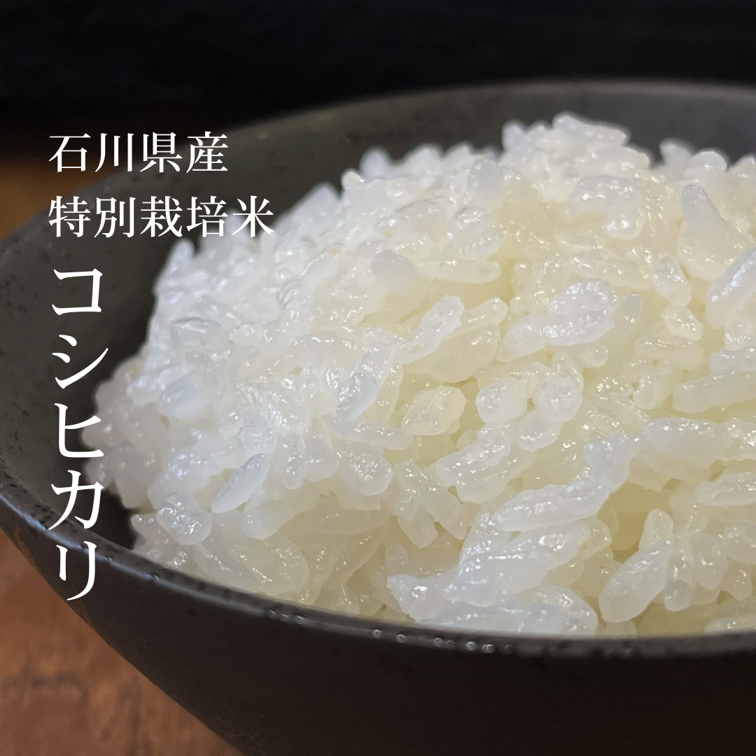 R5年産】石川県産特別栽培米コシヒカリ玄米 30kg - Kanazawa