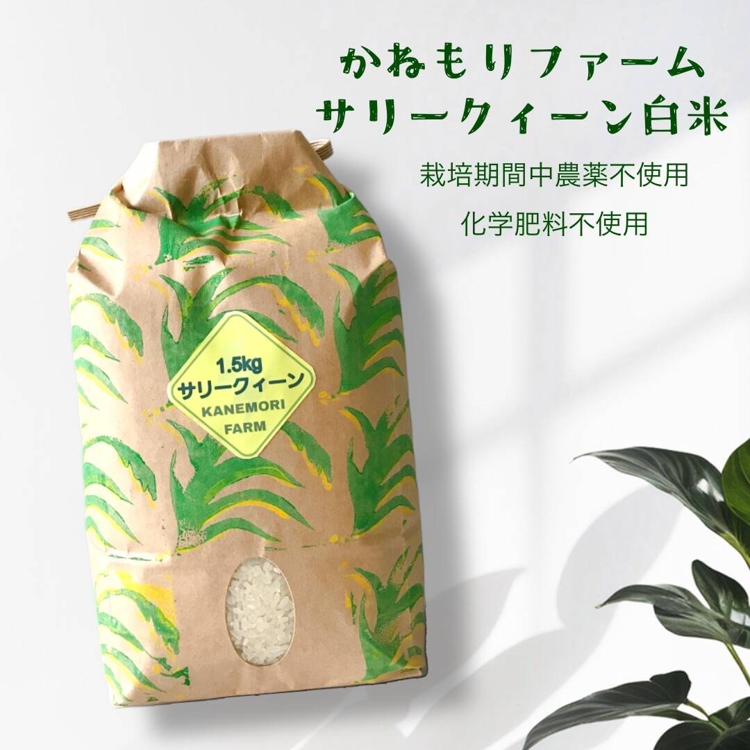 異国感じるお米！『サリークィーン』白米1.5kg：滋賀県産のお米｜食べ
