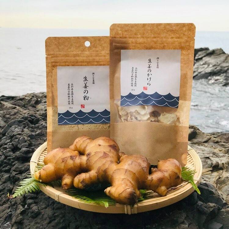 メール便・ラベルレス】鰹乃國の生姜「生姜の粉・生姜のかけら」セット：高知県産の調味料｜食べチョク｜産地直送(産直)お取り寄せ通販 -  農家・漁師から旬の食材を直送