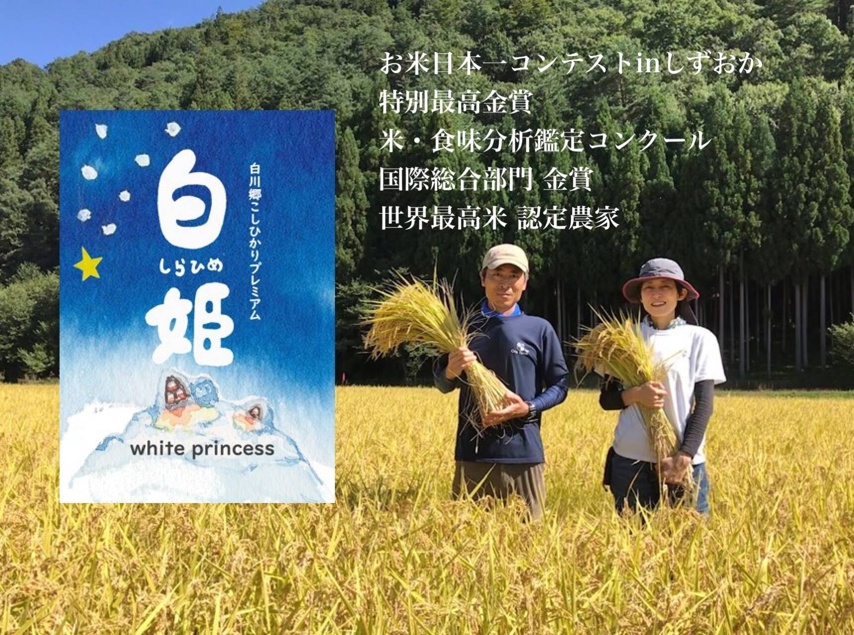 ❁白米❁29日まで。 フリーズドライご飯 / 白米(cm-436903)【販売単位:30】 : ドクター