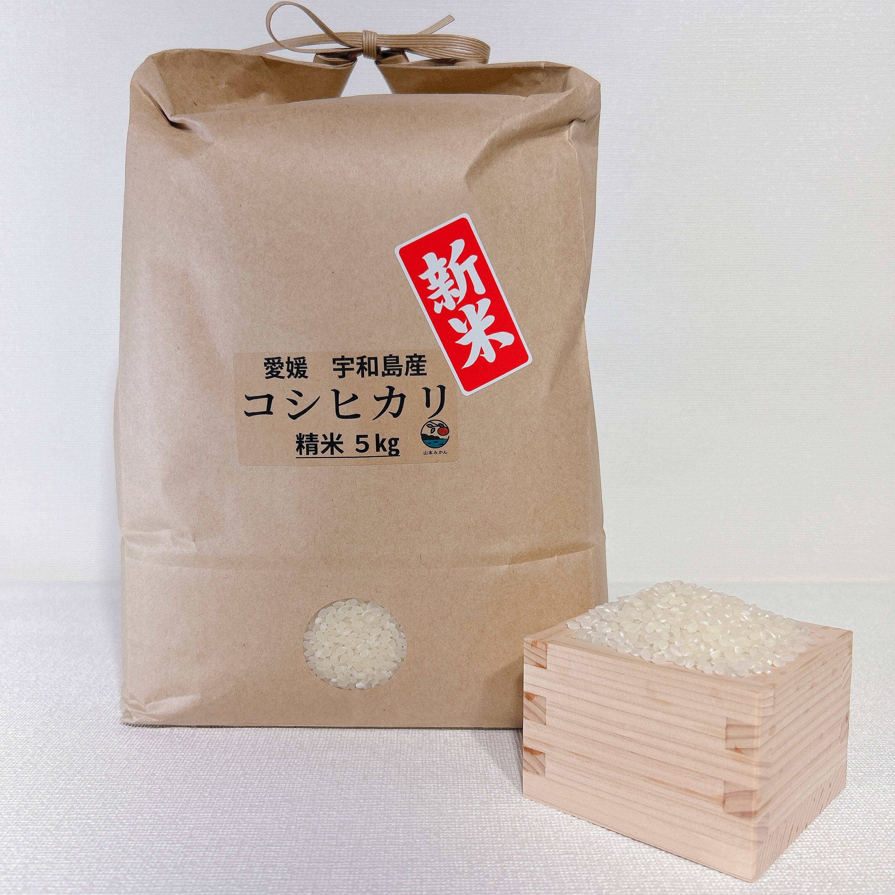 Yumera様専用 令和6年新米♥愛媛県産コシヒカリ20kg(白米)