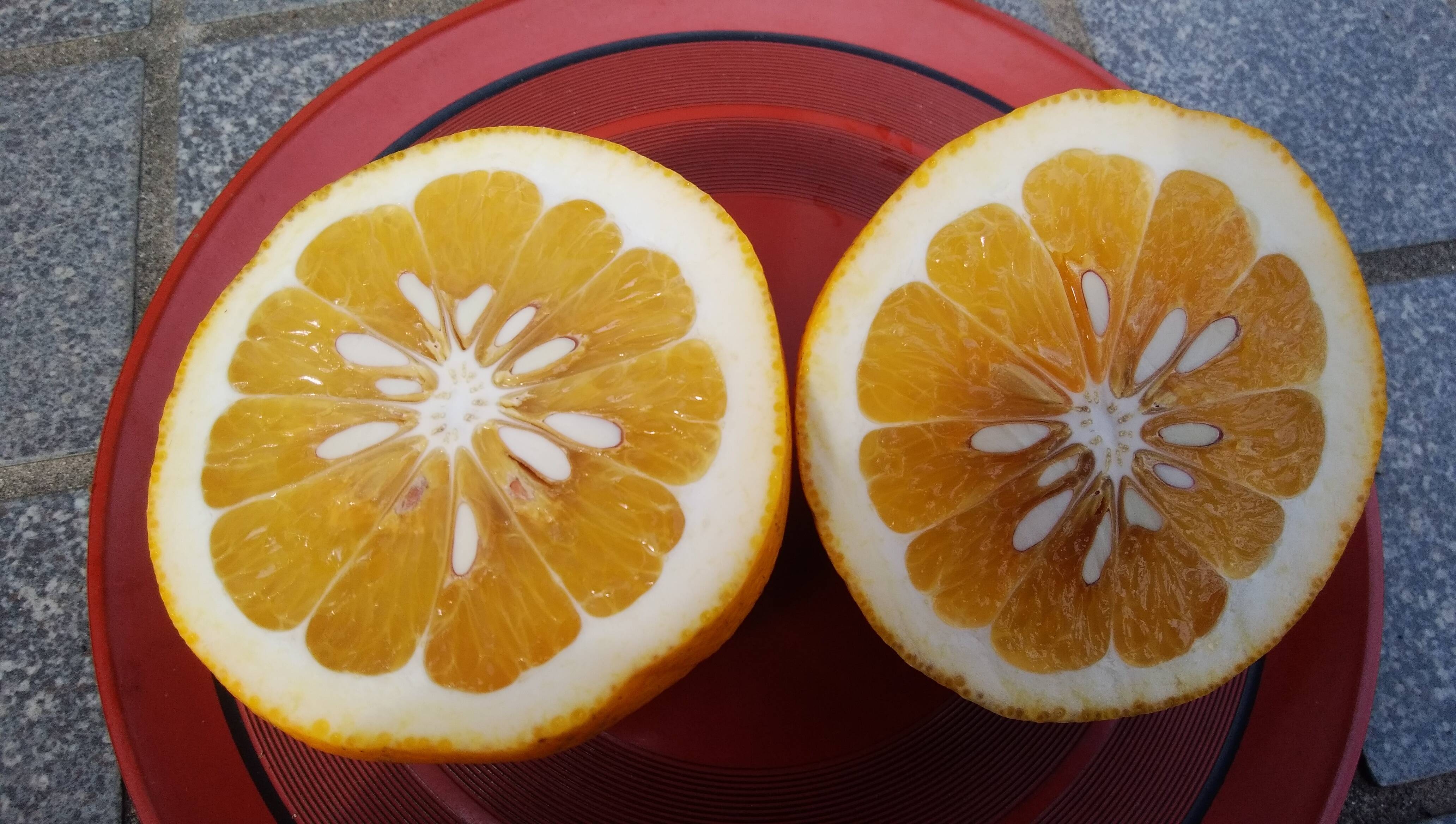 宇和ゴールド 3.5Kg (箱重量込)栽培期間中化学肥料・農薬・除草剤不使用:愛媛県産の果物|食べチョク|産地直送(産直)お取り寄せ通販 農家・漁師から旬の食材を直送 鹿児島県産 すもも (箱込み3.5キロ)