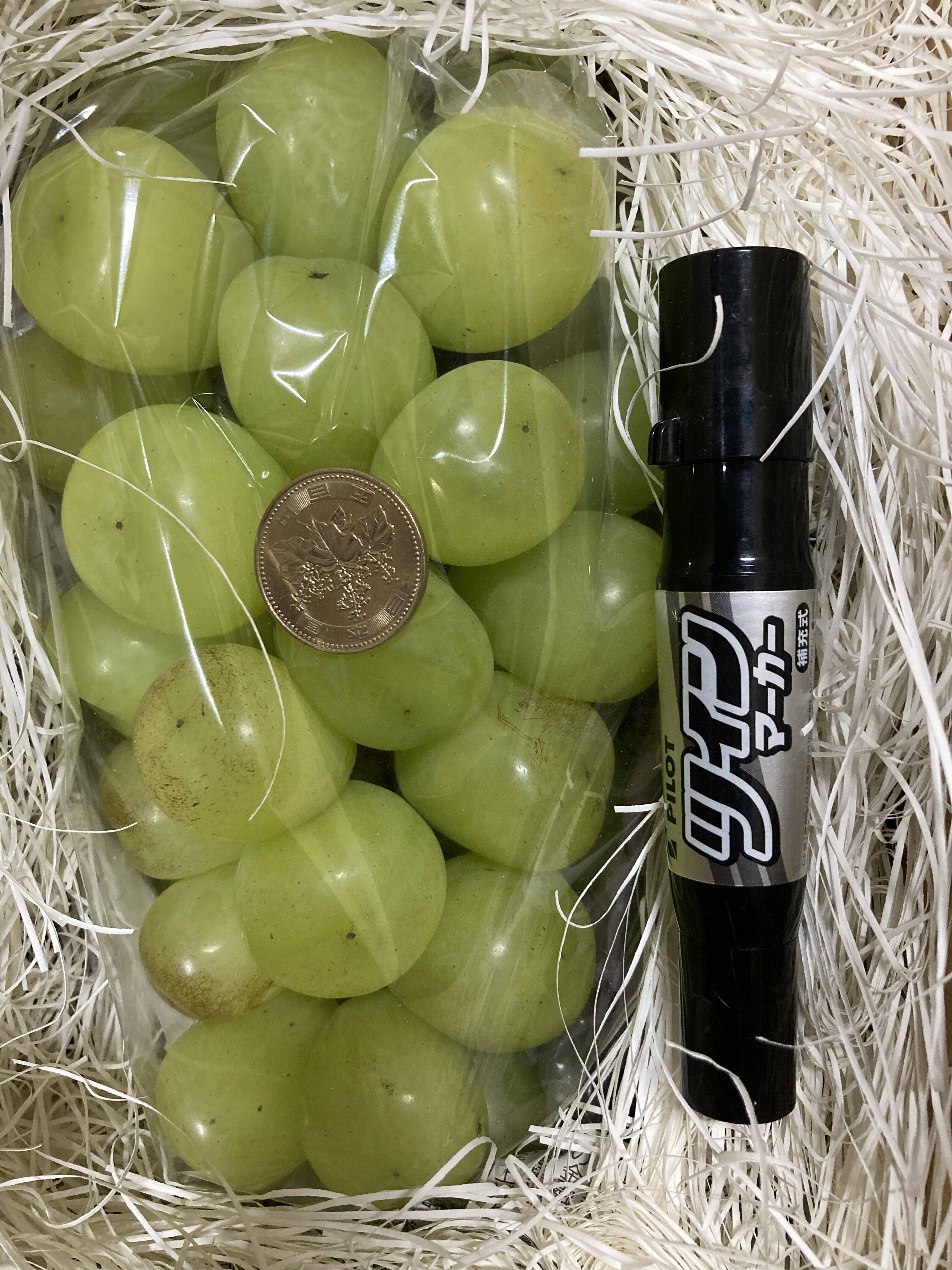 シャインマスカット 雄宝 訳あり 4kg パック売り 選果落ち 訳あり商品】 ぶどう シャインマスカット 4パック 約1200g