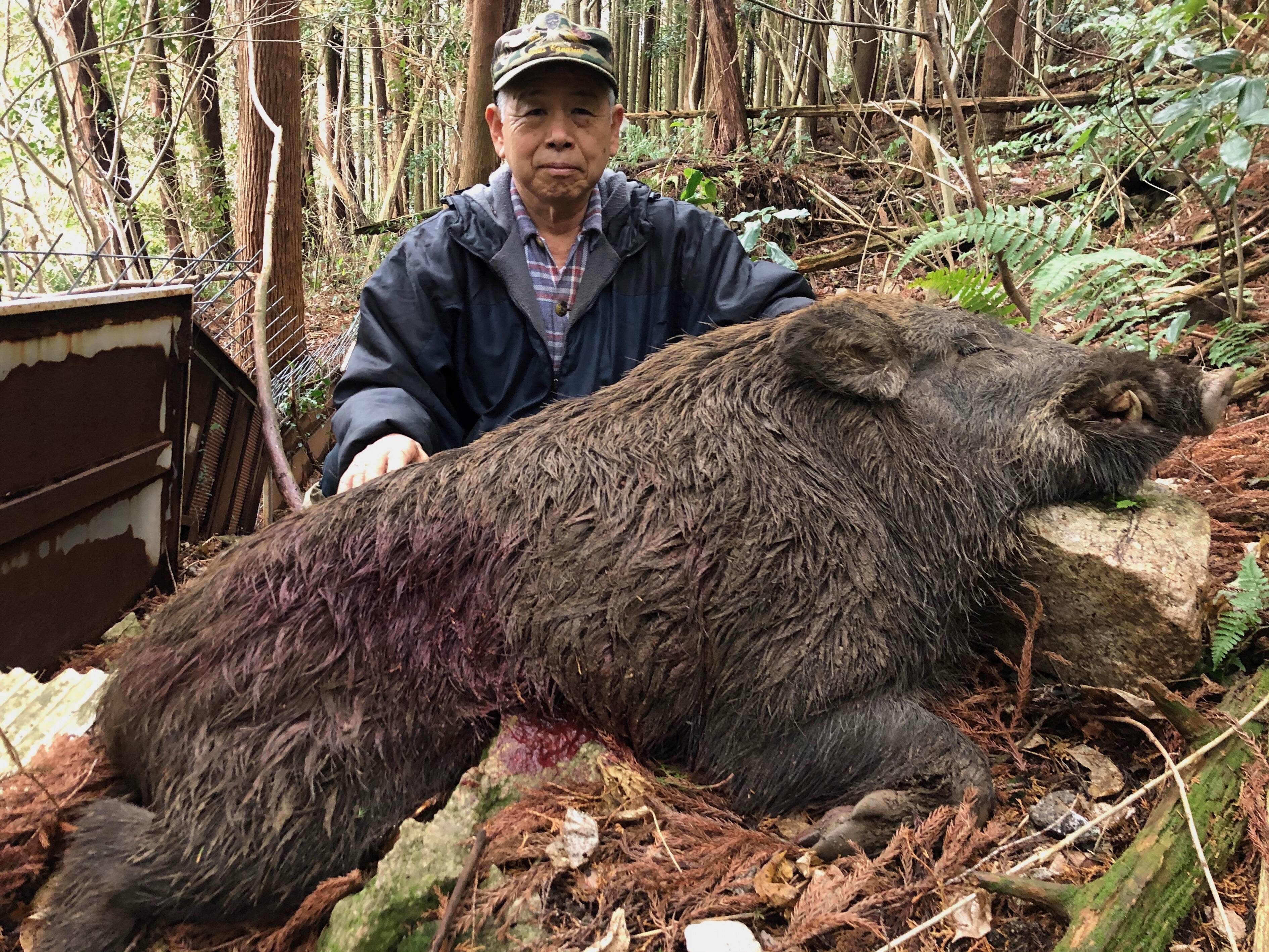 いのしし肉 SANSEIへのレビュー・商品：佐賀県｜食べチョク｜産地直送(産直)お取り寄せ通販 - 農家・漁師から旬の食材を直送