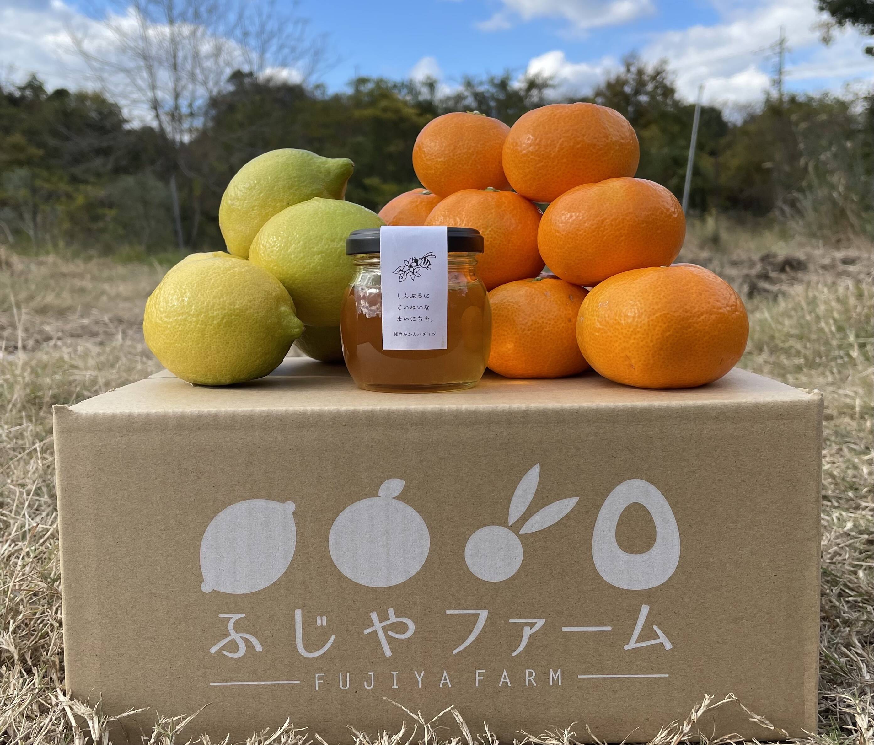 冬ギフト】旬の大崎上島産みかん1.5キロ•レモン500g•みかんハチミツ1本