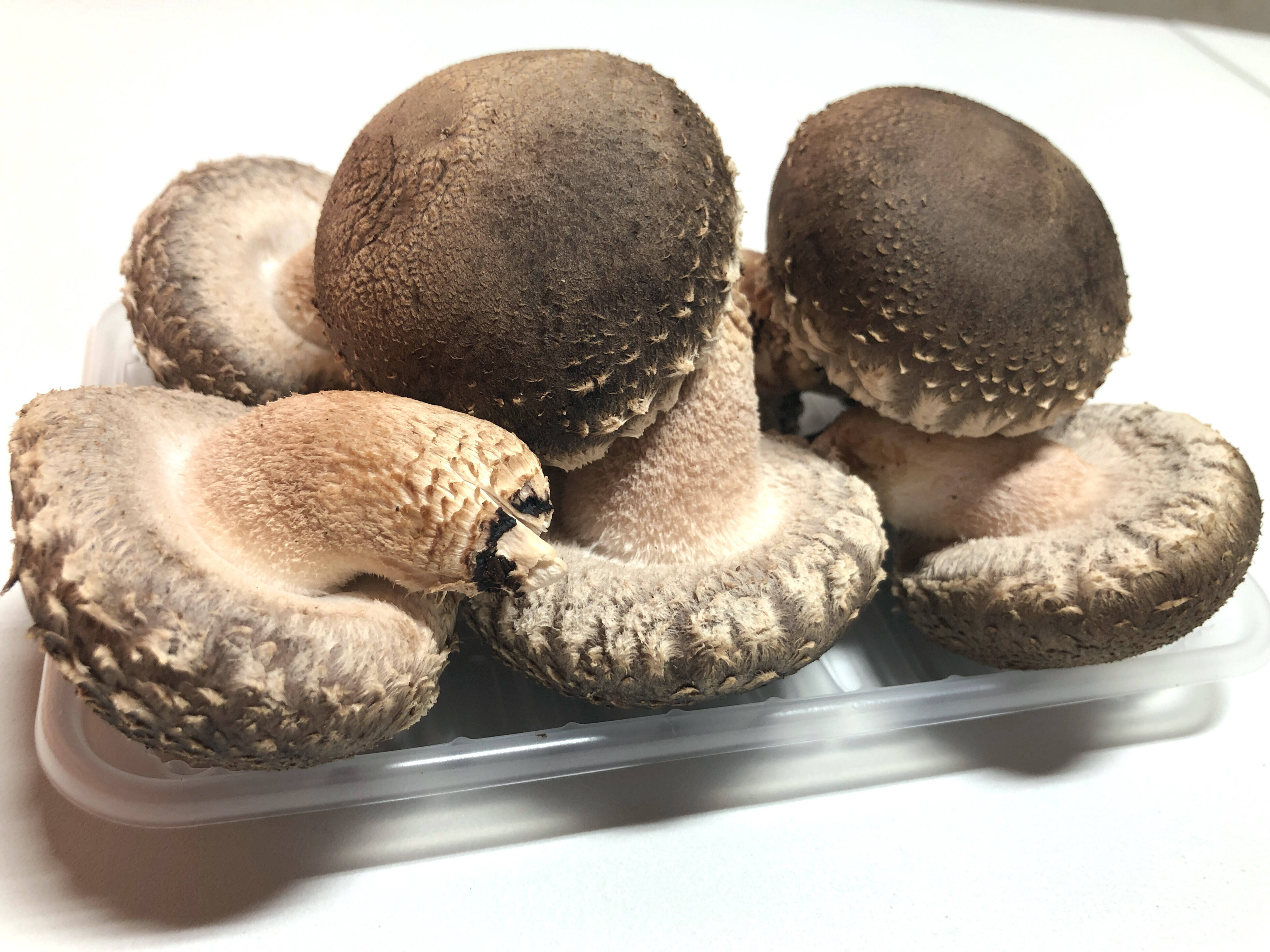 原木栽培 肉厚生しいたけ特秀品 800g以上 クール便 原木椎茸：福島県産