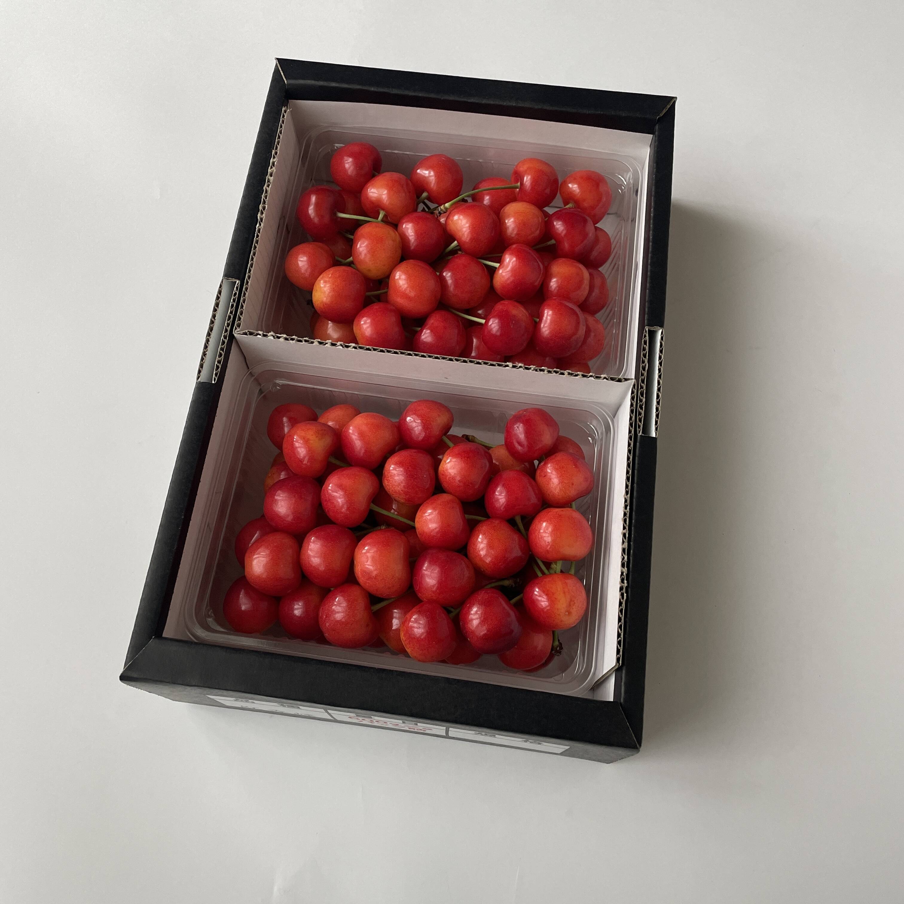 価値ある大粒【佐藤錦】🍒1キロ🍒【2Lサイズ以上】【さくらんぼ