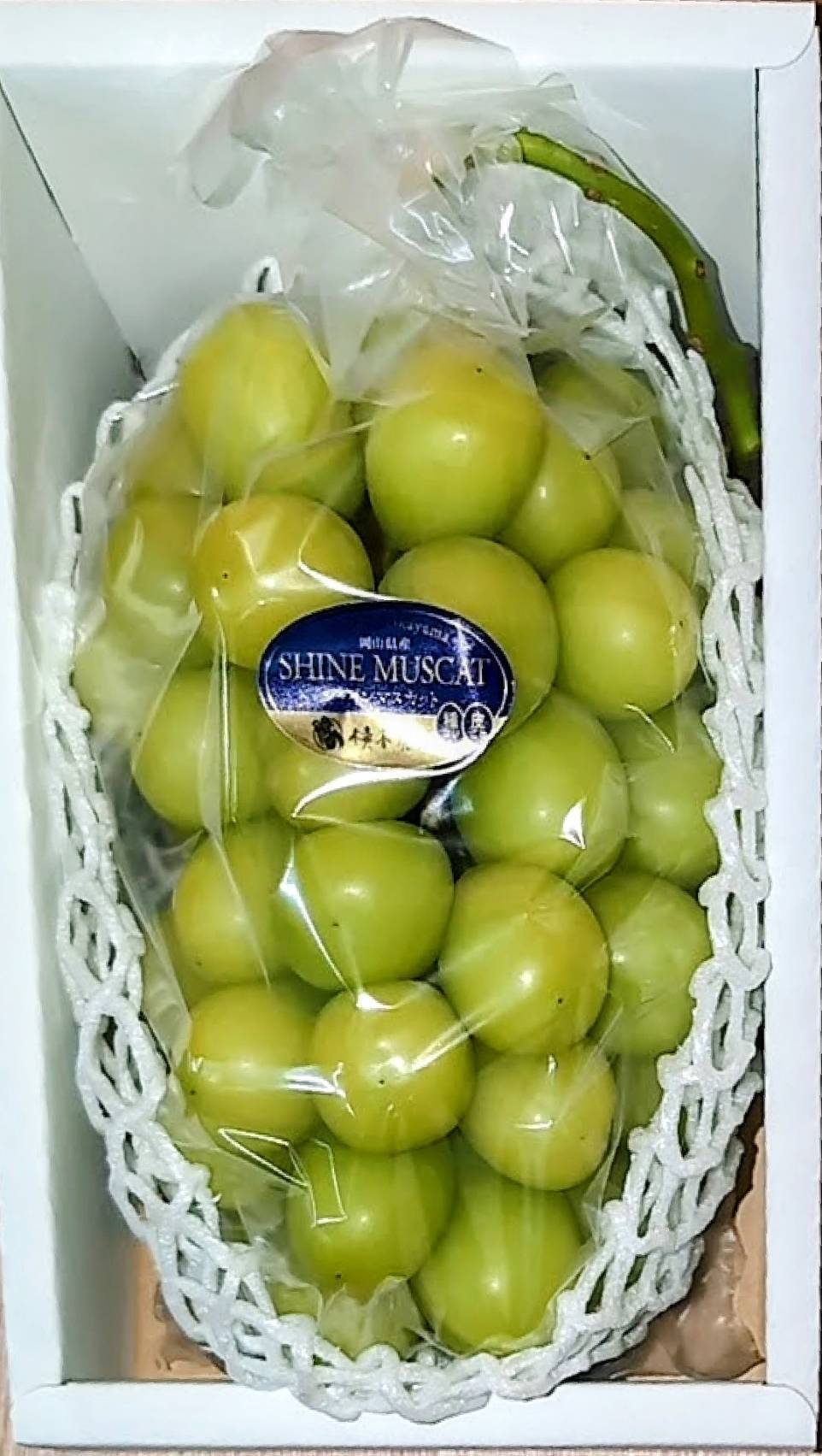 送料込み！（産地直送シャインマスカット）たっぷり650g 濃厚シャインマスカット贈答用 650g 1房：岡山県産のシャイン