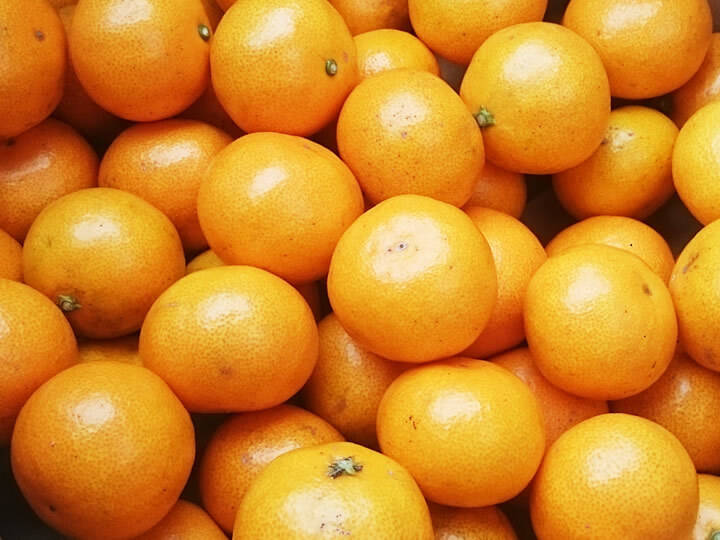 こつぶみかん 2kg (早生) : 甘味と酸味が調和したみかん (出荷:11月