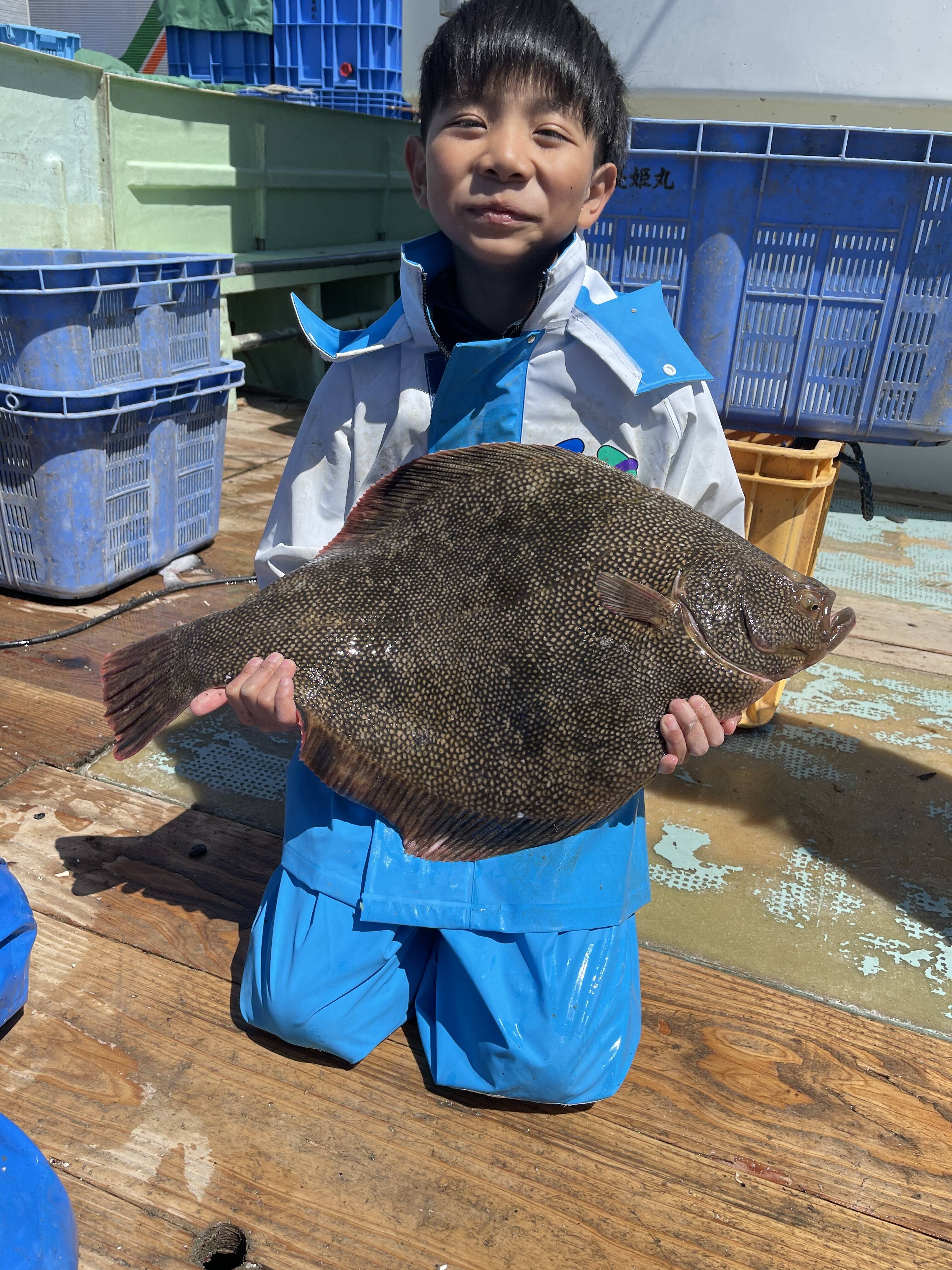 高級魚マツカワ 苫小牧産 3キロ以上 北海道産 食べチョク 農家 漁師の産直ネット通販 旬の食材を生産者直送