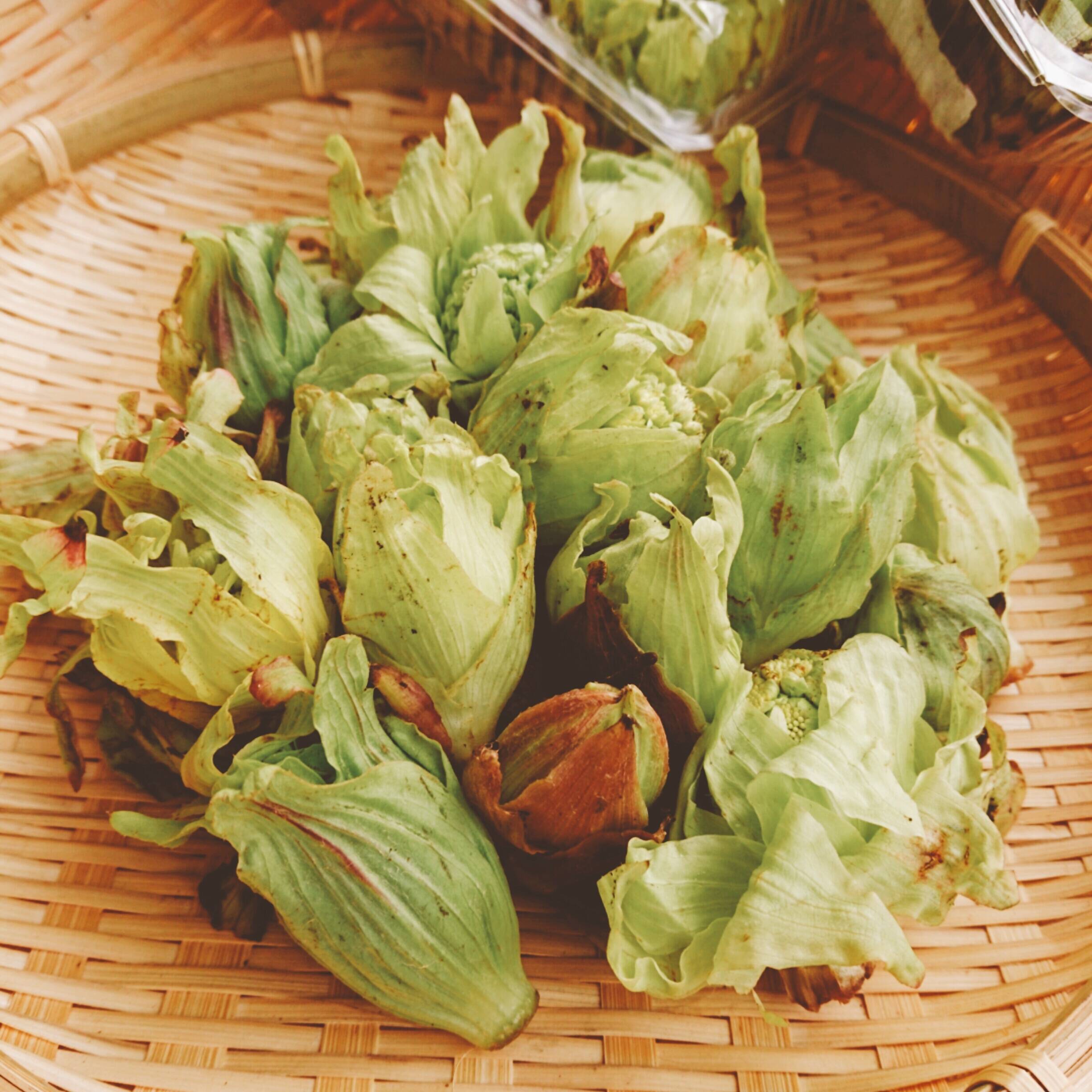 富山県産 ふきのとう つぼみ 200g - 野菜