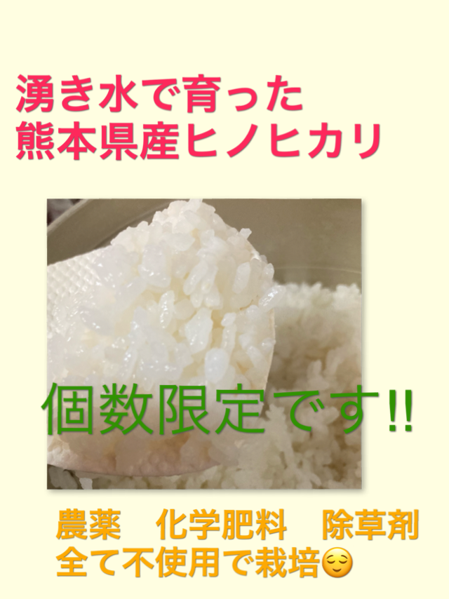 湧き水で育った熊本県産ヒノヒカリ(農薬 化学肥料 除草剤不使用 湧き水で育った熊本県産ヒノヒカリ(農薬 化学肥料 除草剤不使用
