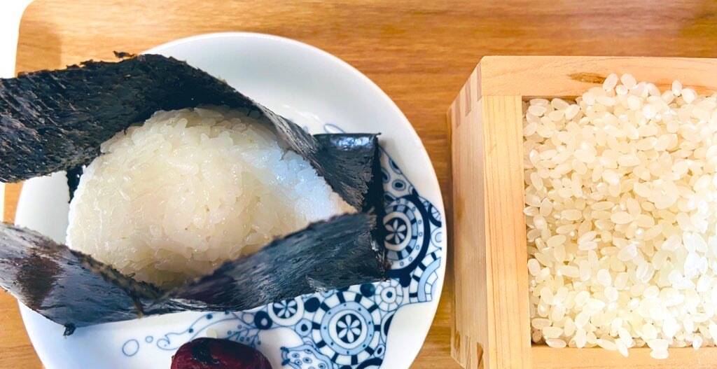令和7年ヒノヒカリ新米　玄米20kg 農薬、化学肥料、除草剤不使用① 個数限定値下げ‼︎ 熊本県産ヒノヒカリ【令和7年度産】農薬化学肥料