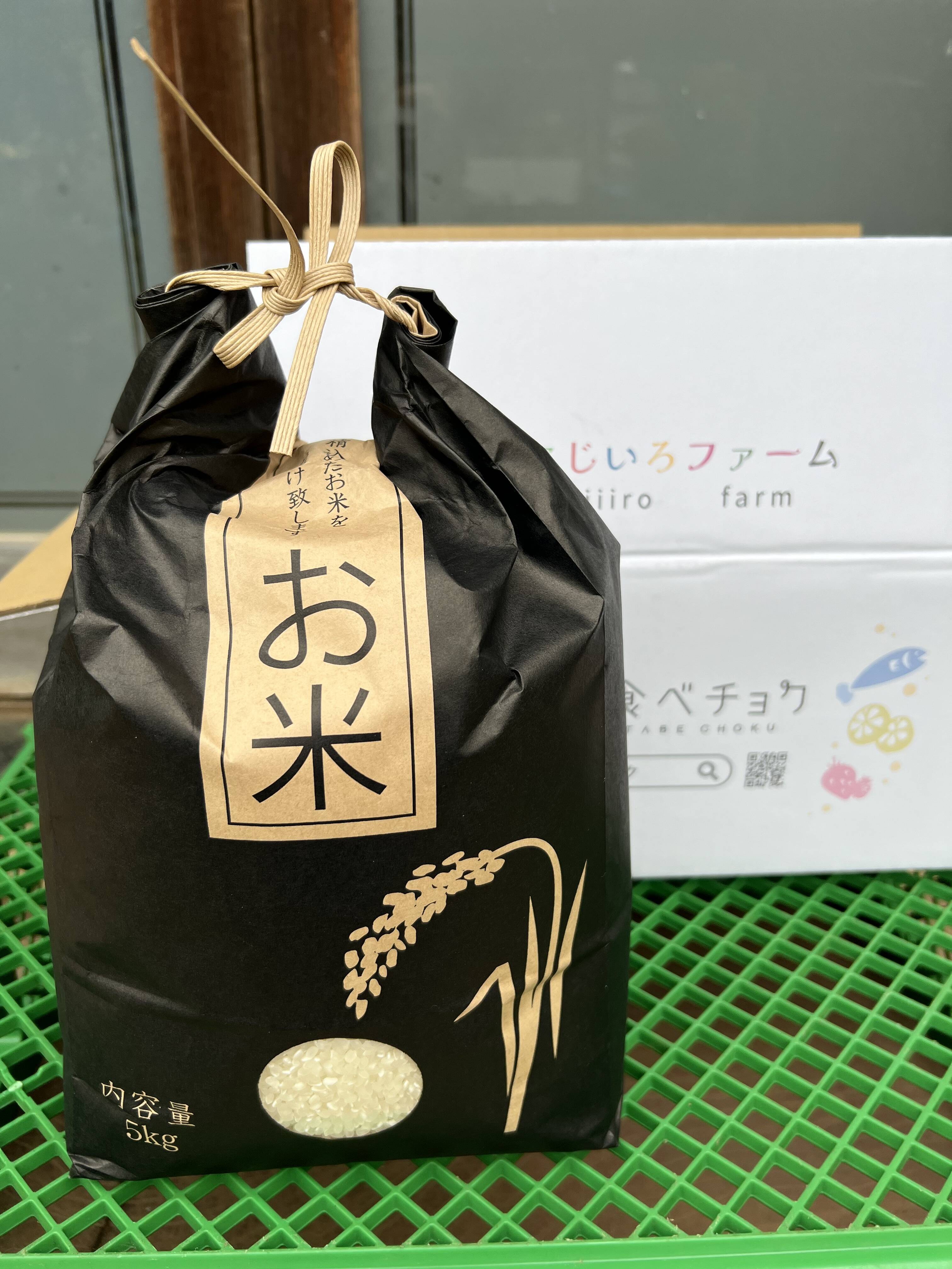 ⭐︎最後の一個⭐︎新米 コシヒカリ 千葉県いすみ市産 20キロ　白米　無洗米 令和8年産新米】千葉市産コシヒカリ 無洗米4.5kg：千葉県産の