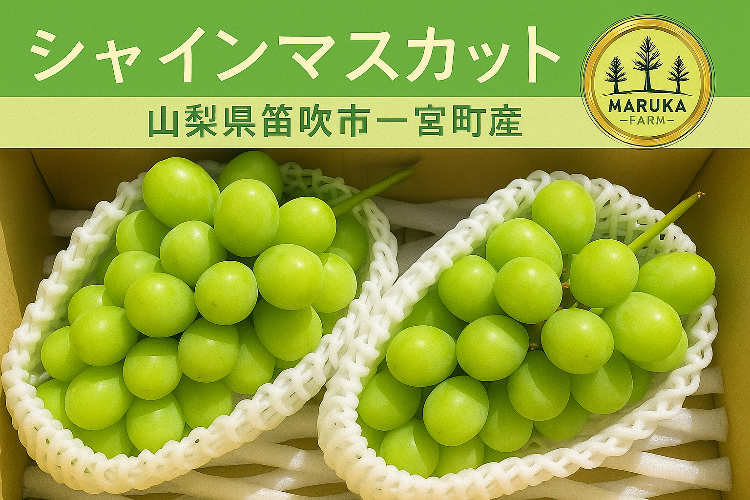 【夏季限定】No.11 2kg　シャインマスカット　摘みたて　産地直送　山梨県 夏季限定】No.11 2kg シャインマスカット 産地直送 山梨県