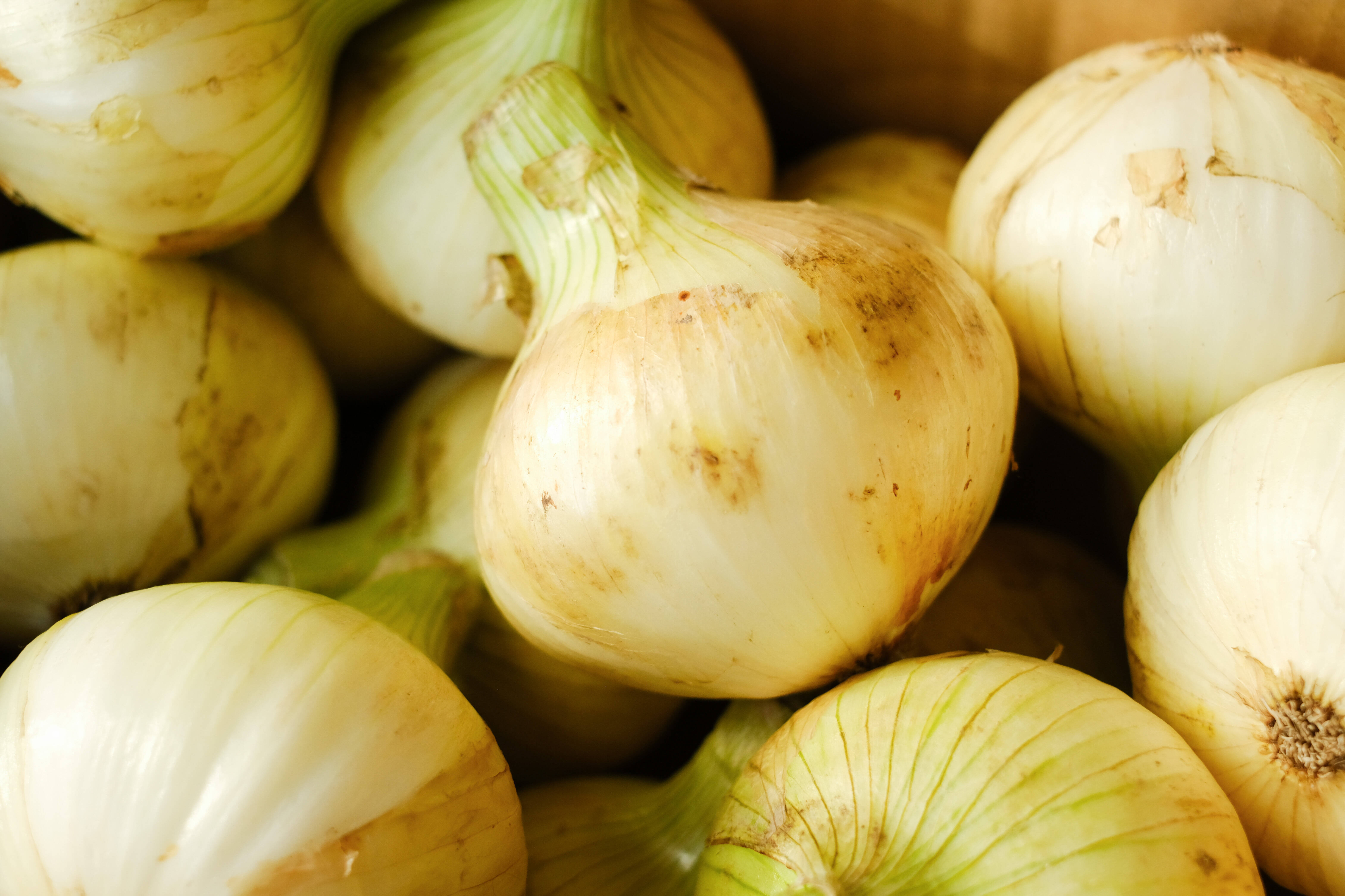 4205d2e6aae655fbcb65eb20c69422