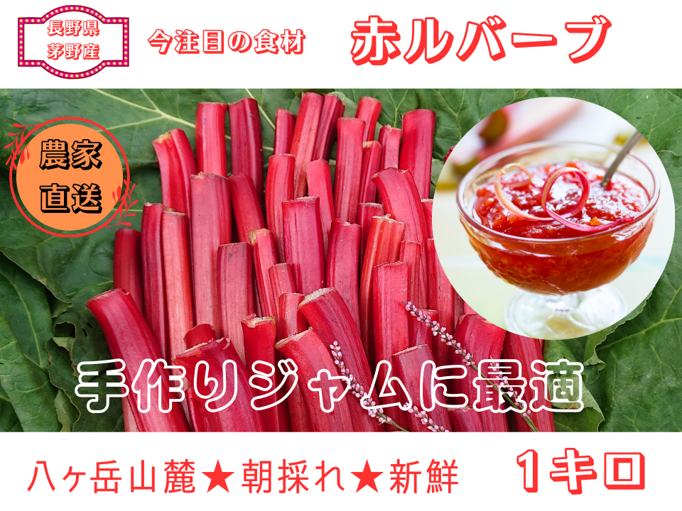 長野県産赤いルバーブ4kg!! 長野県産赤いルバーブ4キロ!!
